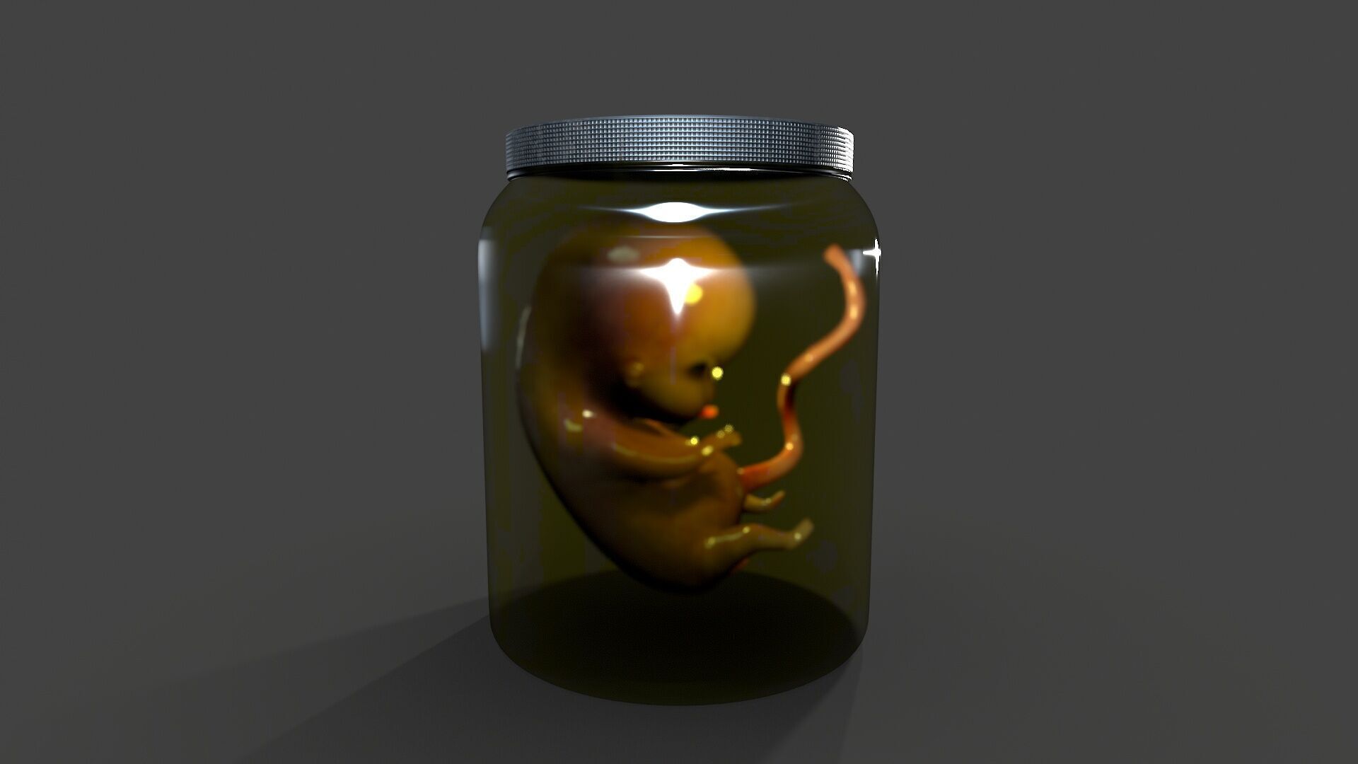 Cadaver Specimen Low-poly 3D model_3