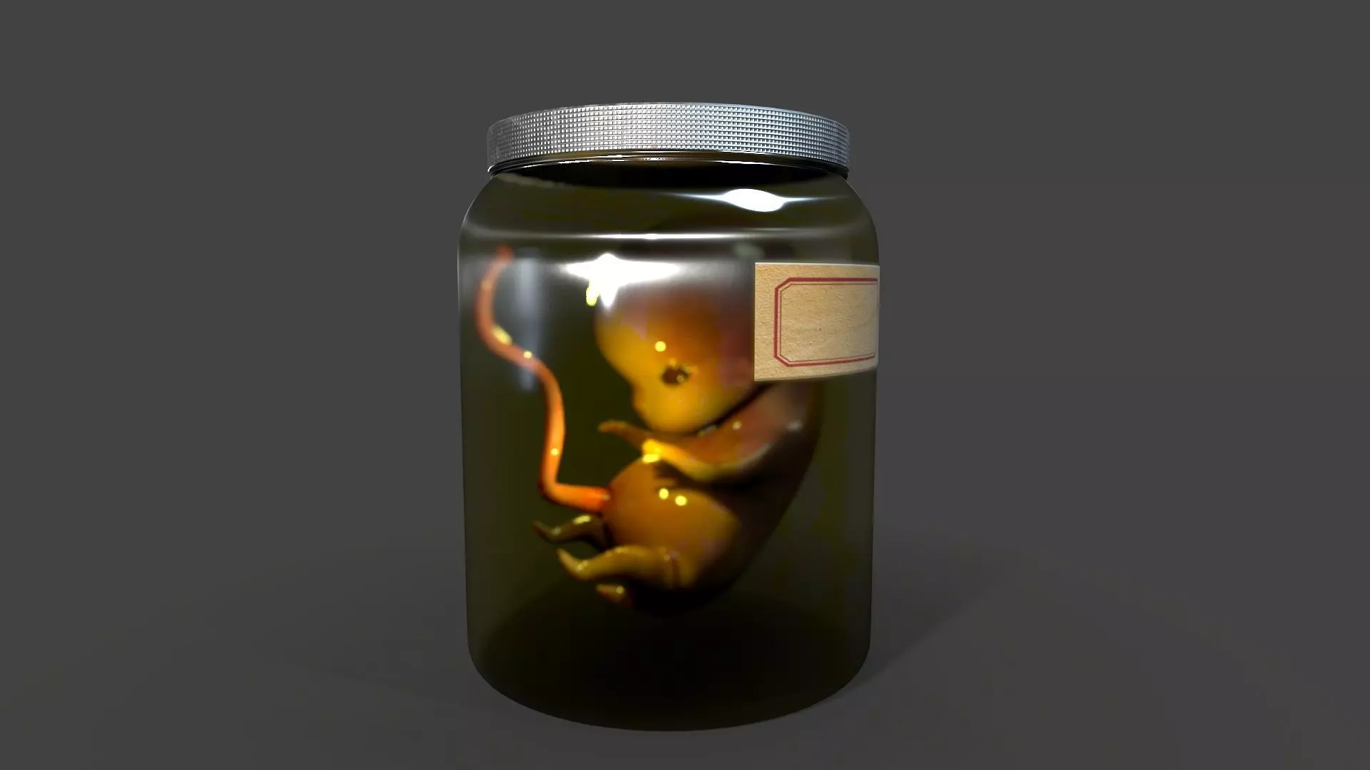 Cadaver Specimen Low-poly 3D model_0