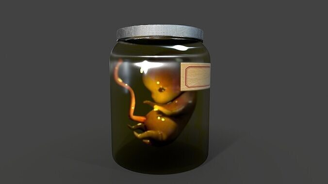 Cadaver Specimen Low-poly 3D model