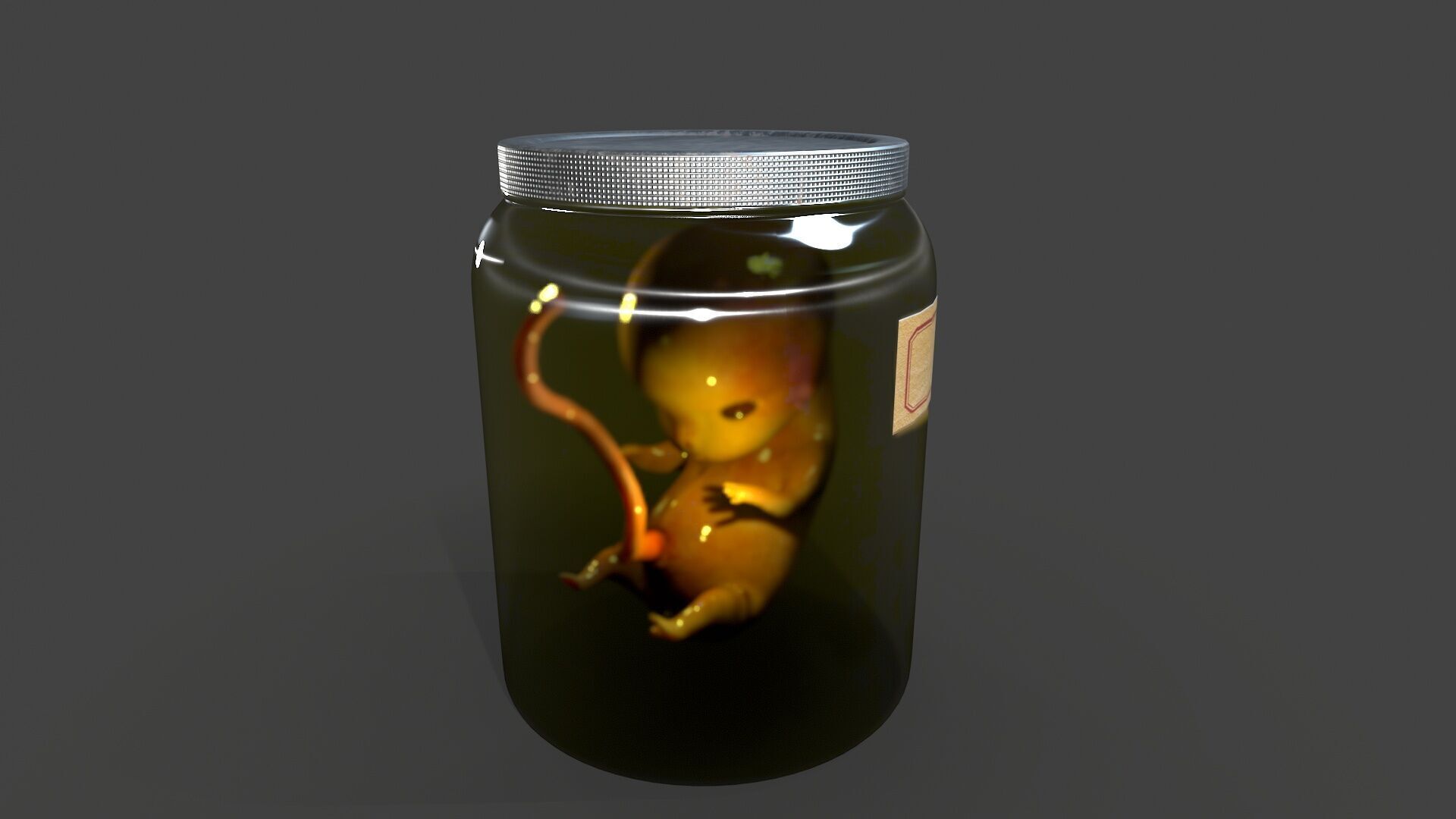 Cadaver Specimen Low-poly 3D model_1