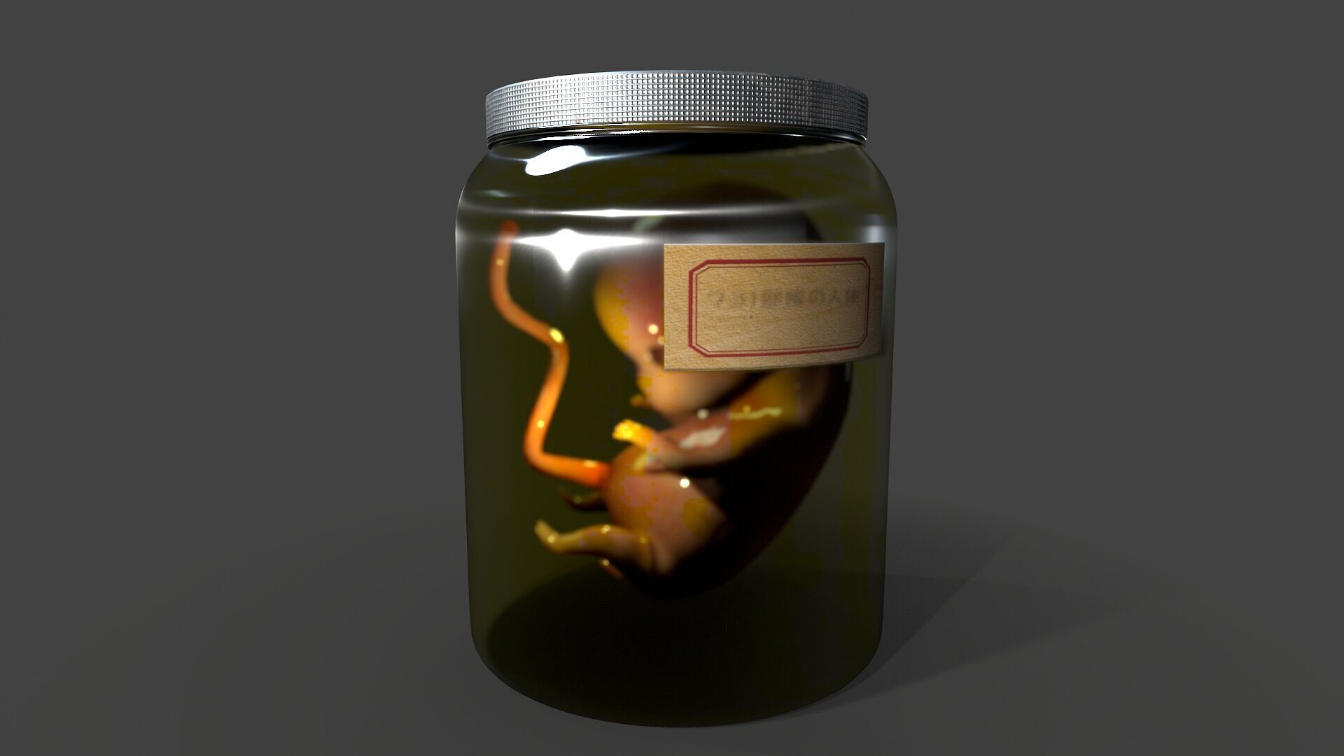 Cadaver Specimen Low-poly 3D model_5