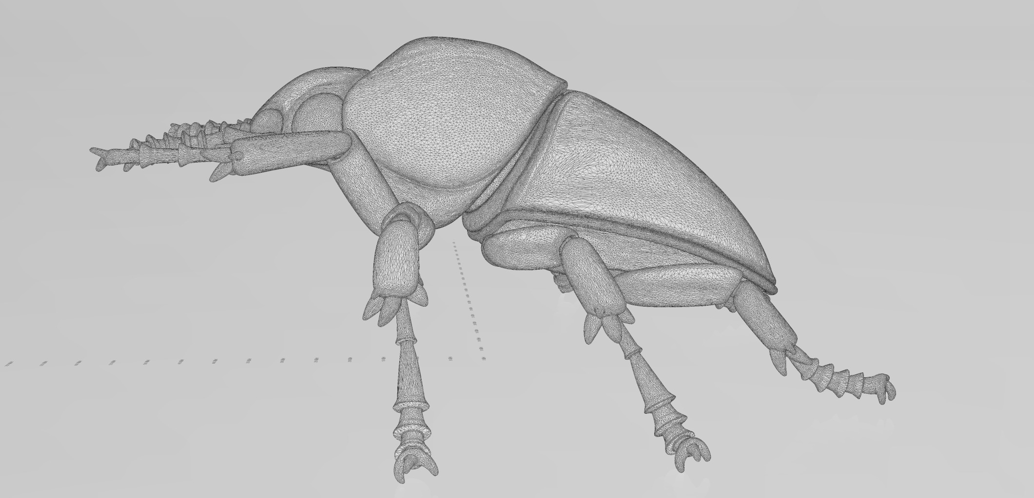 Cyber Art Beetle 3D model_5