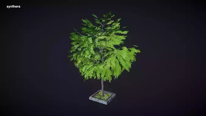 Tree 01