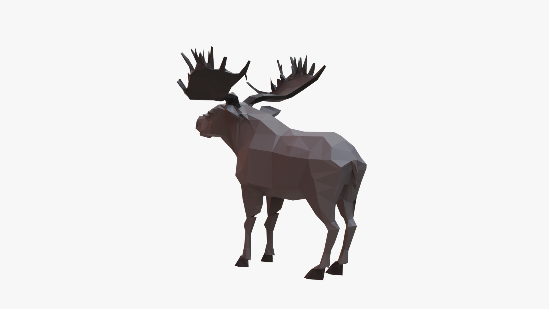 Moose low poly Low-poly 3D model_5