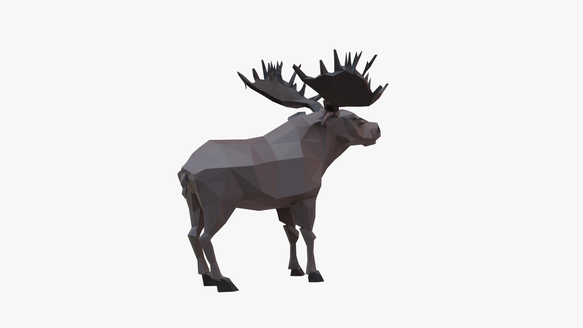 Moose low poly Low-poly 3D model_4