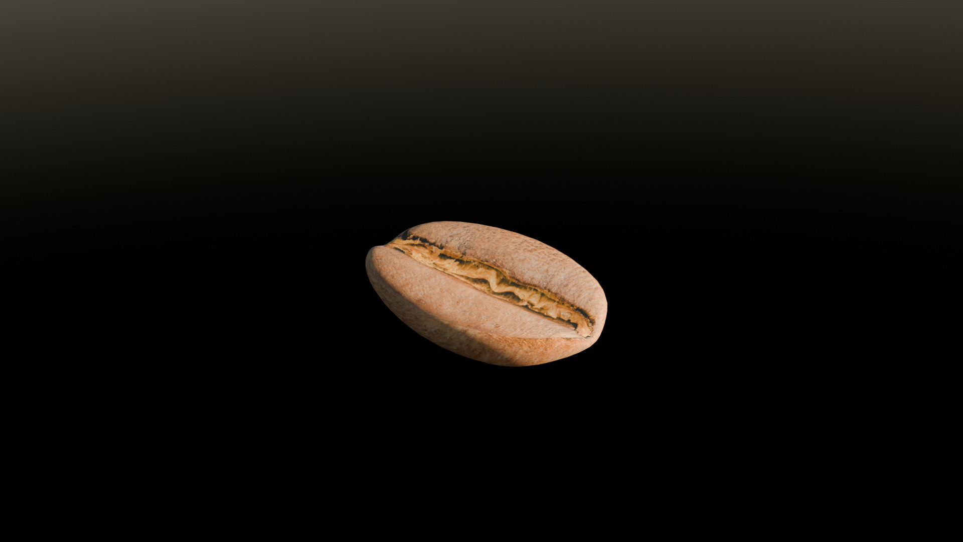 Realistic 3D Coffee Bean Model UV Mapped Quads Only UV mapped Low-poly 3D model_6