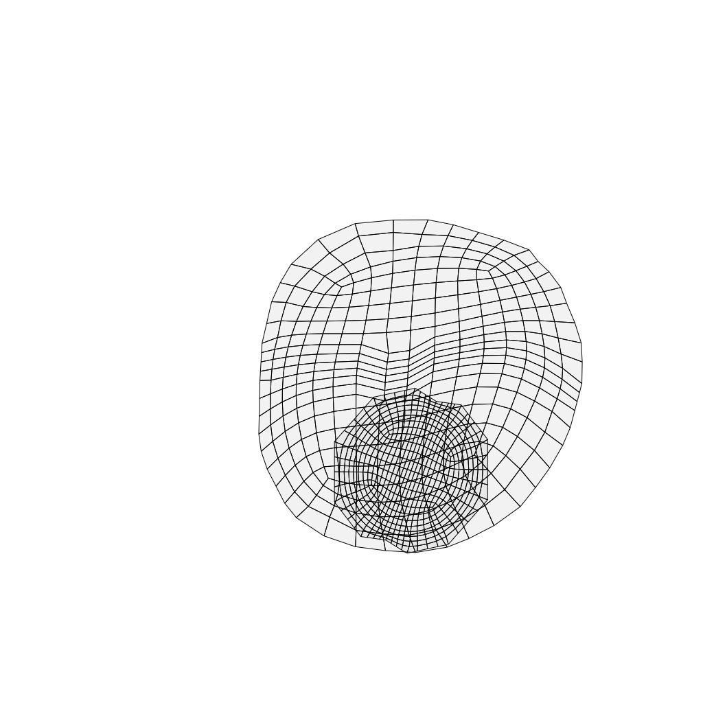 Realistic 3D Coffee Bean Model UV Mapped Quads Only UV mapped Low-poly 3D model_8