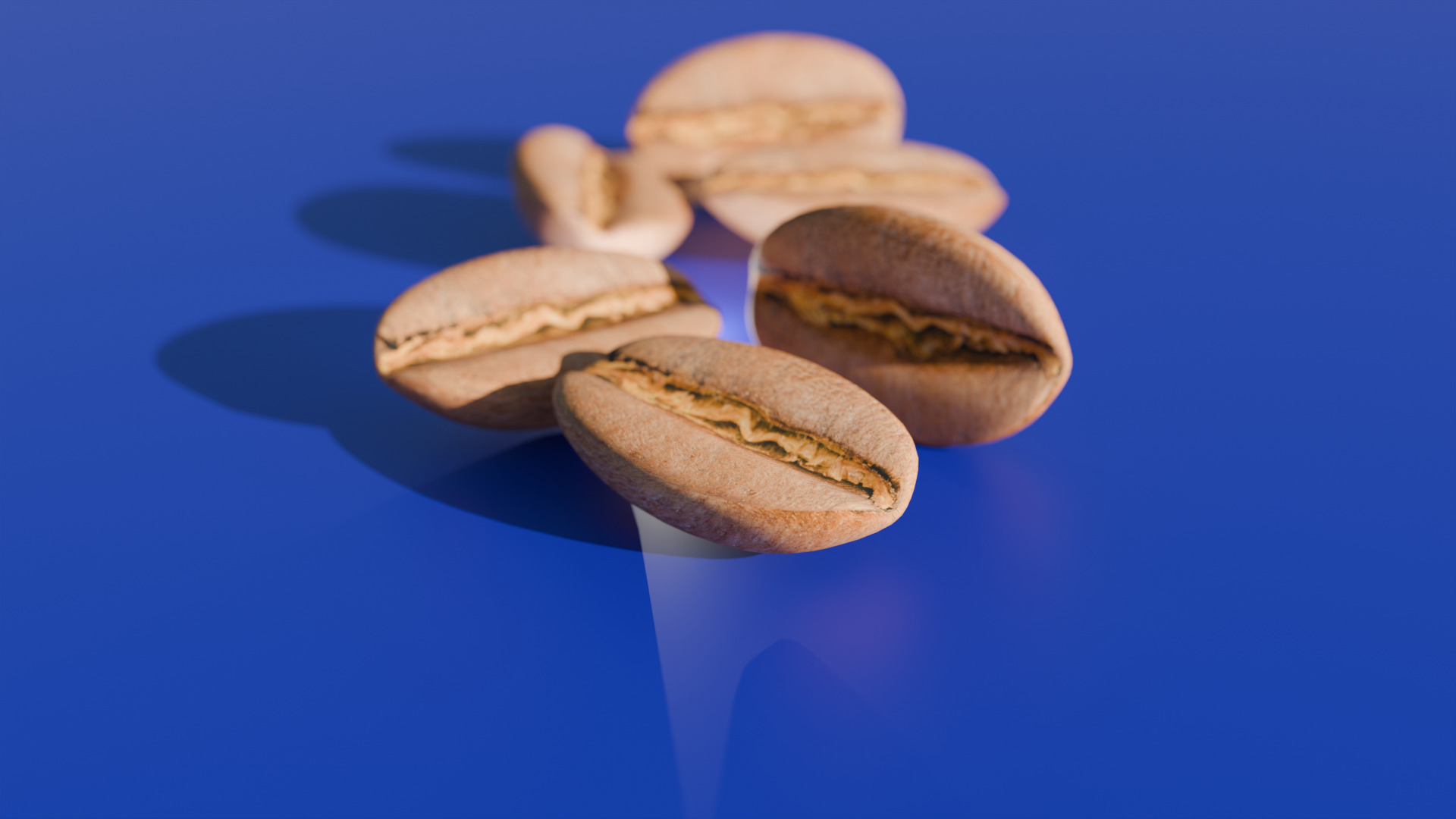 Realistic 3D Coffee Bean Model UV Mapped Quads Only UV mapped Low-poly 3D model_4