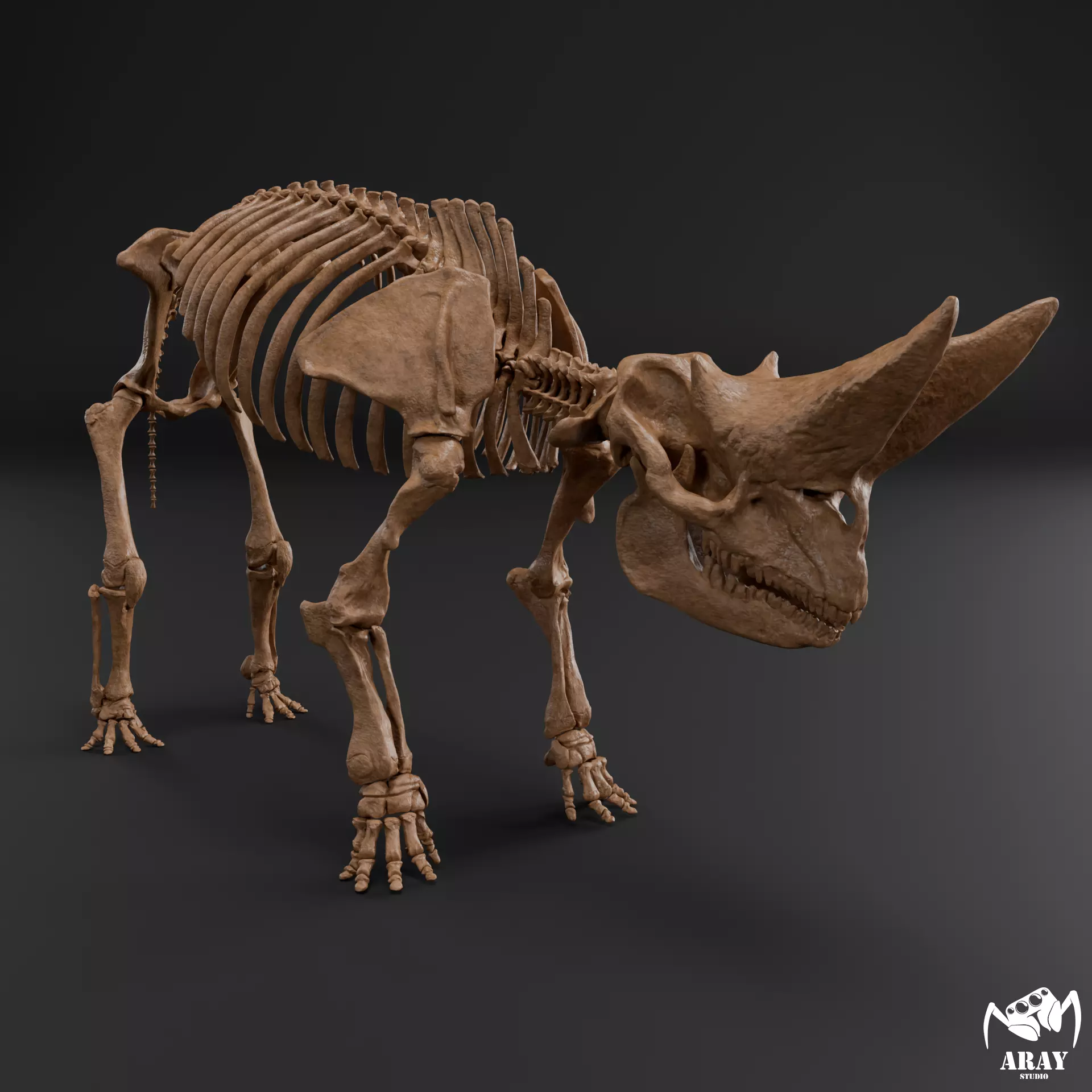 Arsinoitherium zitteli - twin horned rhino skeleton 3D print model_0