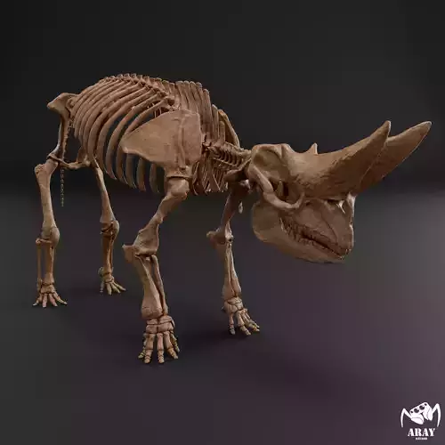 Arsinoitherium zitteli - twin horned rhino skeleton
