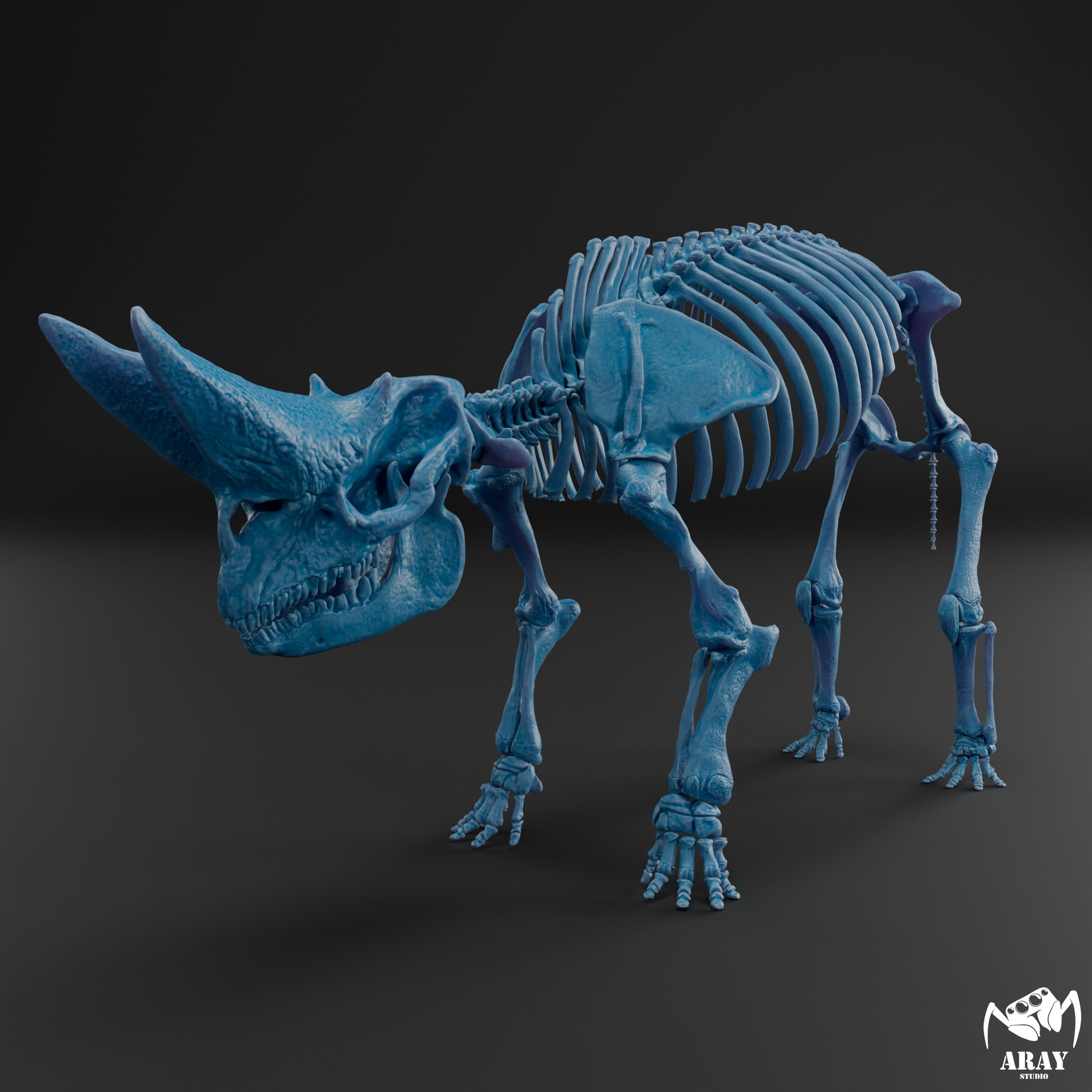 Arsinoitherium zitteli - twin horned rhino skeleton 3D print model_9