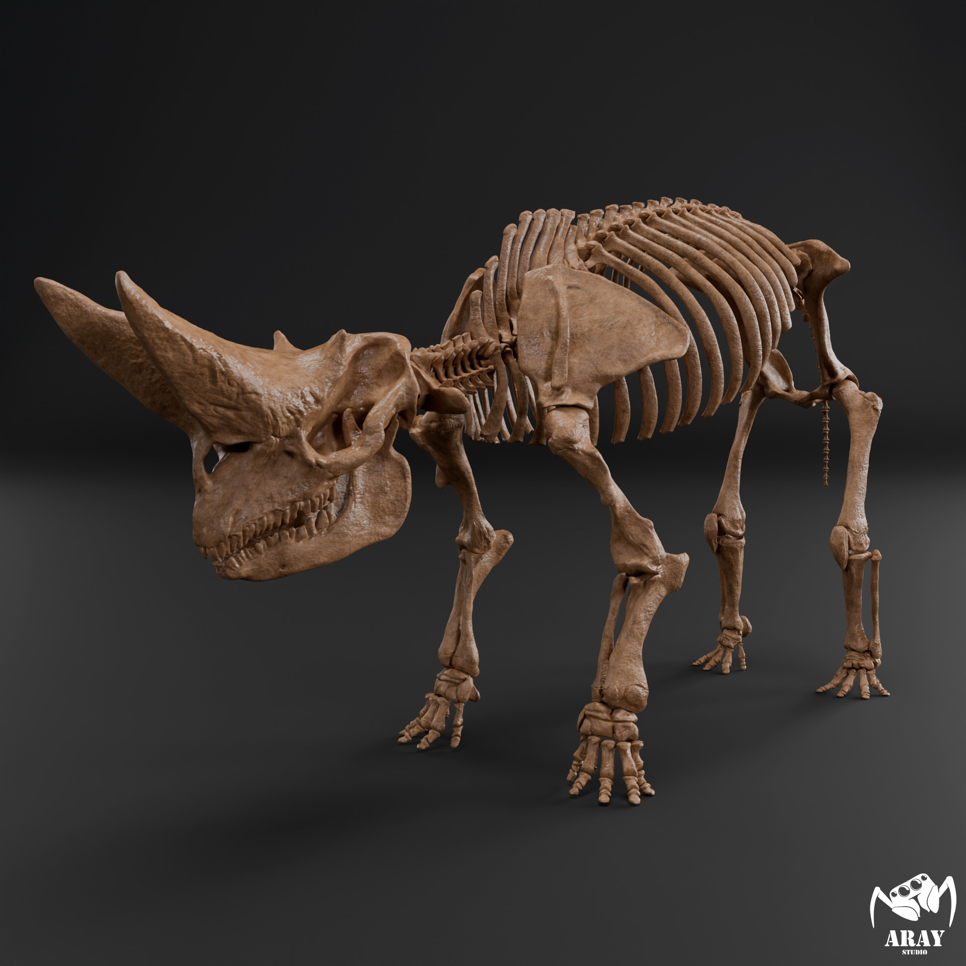Arsinoitherium zitteli - twin horned rhino skeleton 3D print model_2