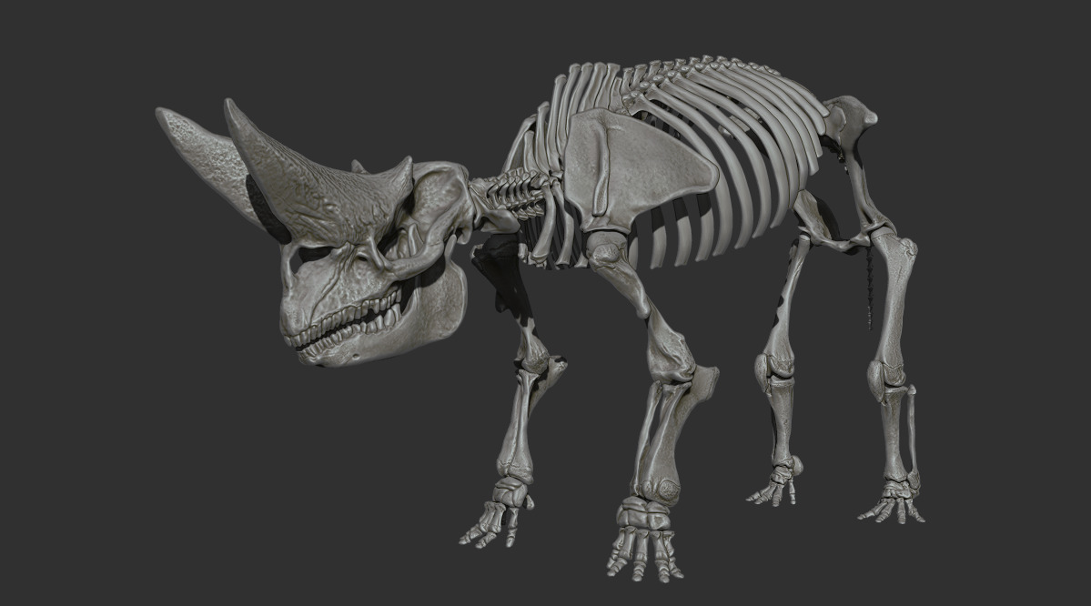 Arsinoitherium zitteli - twin horned rhino skeleton 3D print model_14