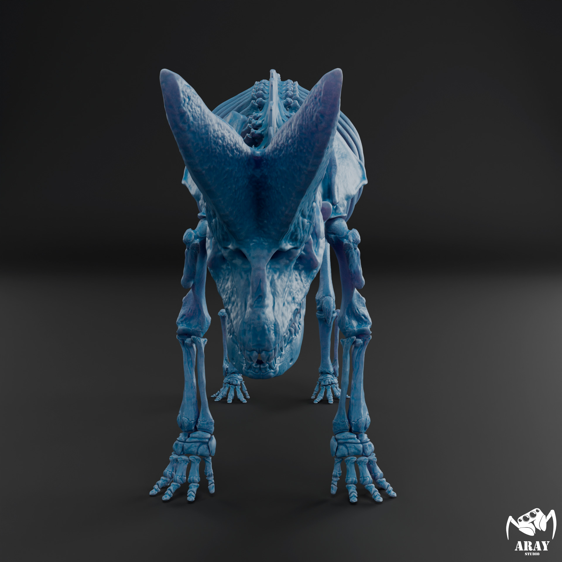 Arsinoitherium zitteli - twin horned rhino skeleton 3D print model_8