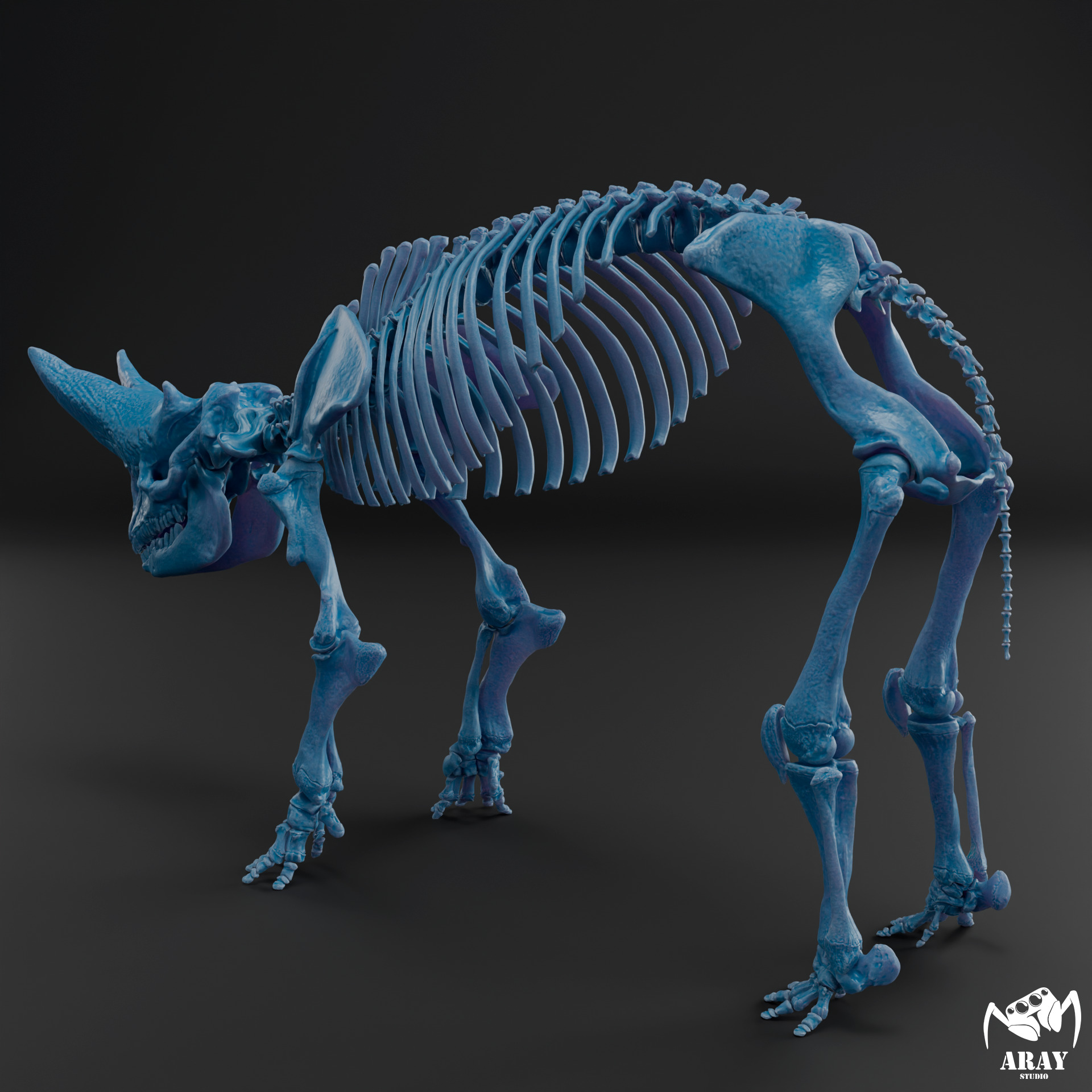 Arsinoitherium zitteli - twin horned rhino skeleton 3D print model_11