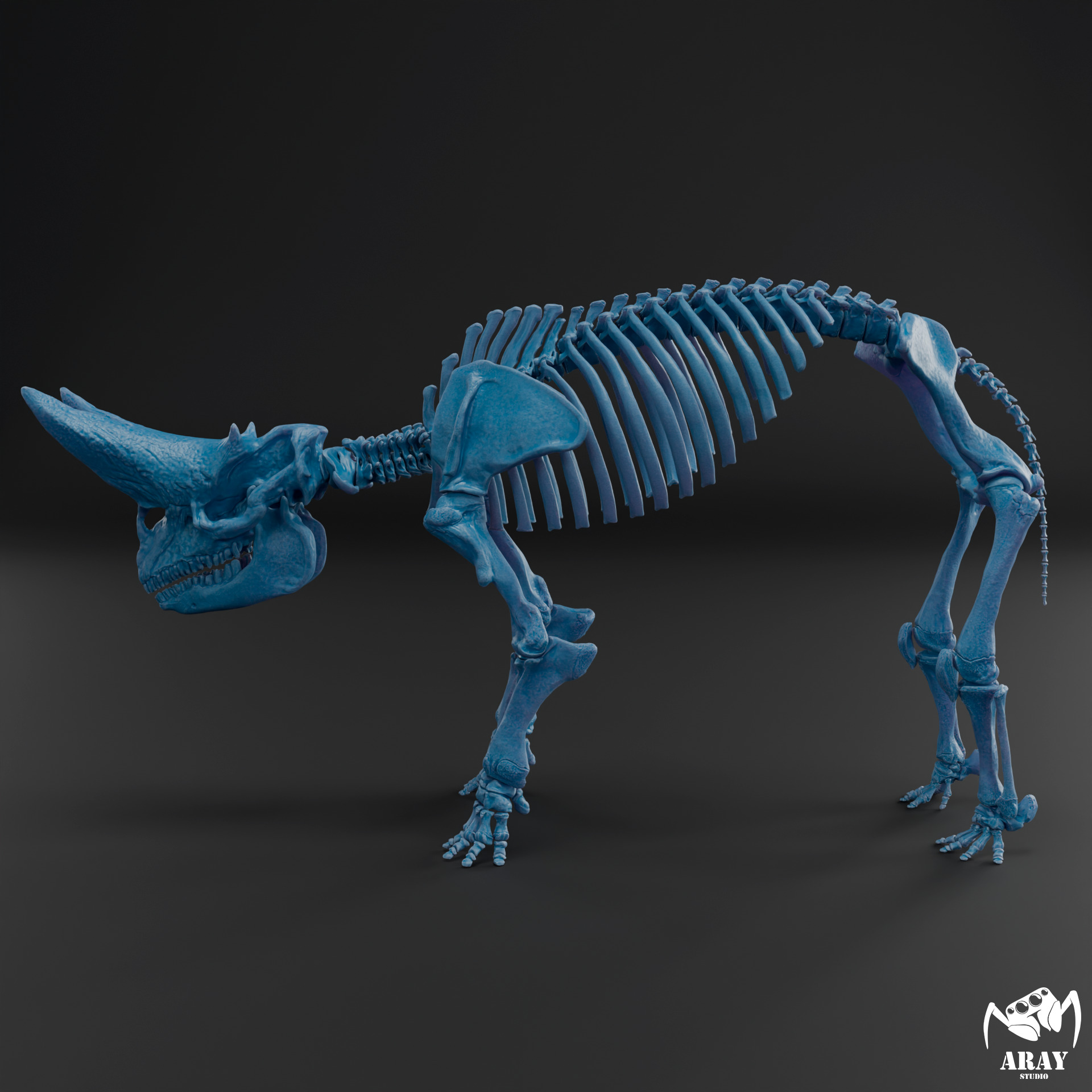 Arsinoitherium zitteli - twin horned rhino skeleton 3D print model_10