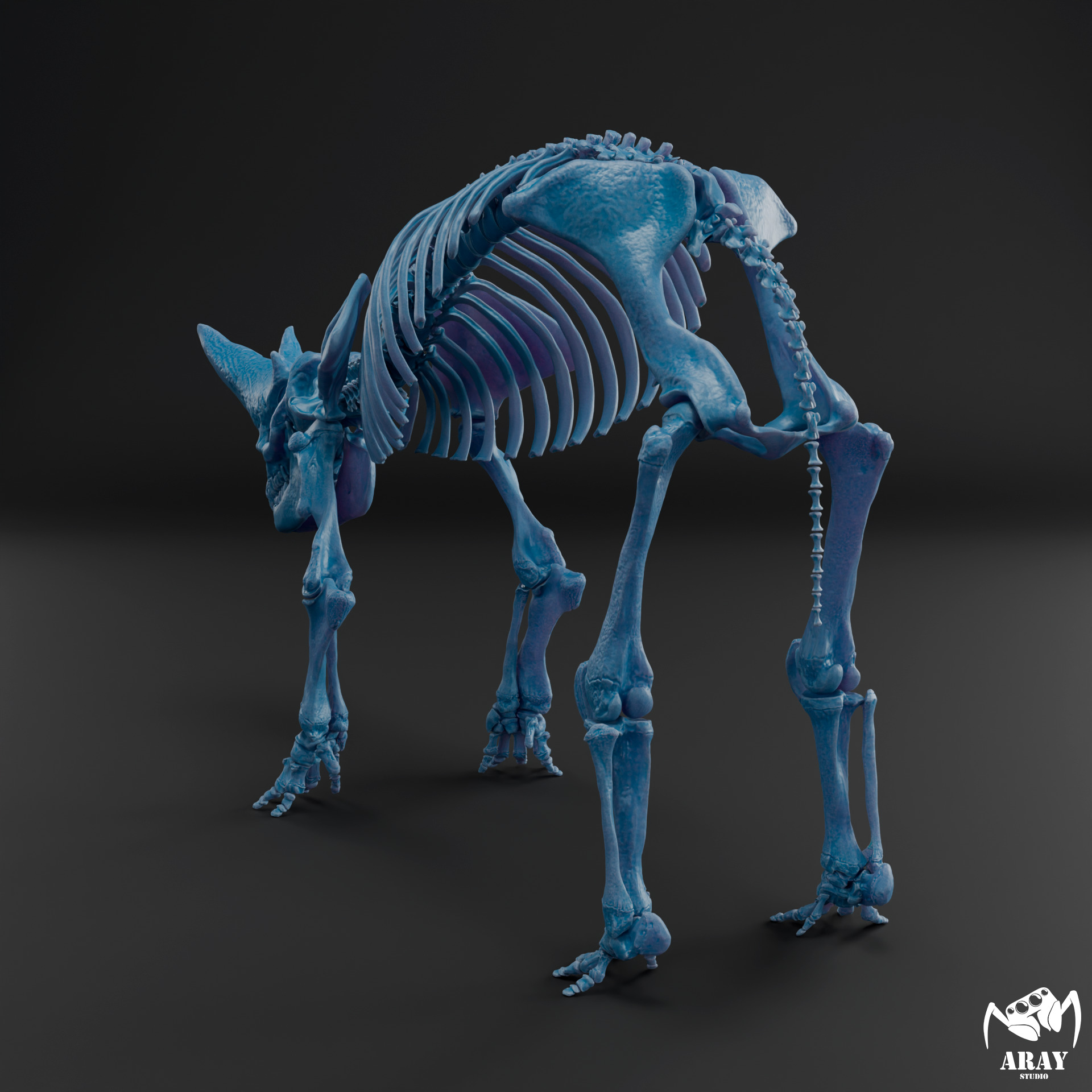 Arsinoitherium zitteli - twin horned rhino skeleton 3D print model_12