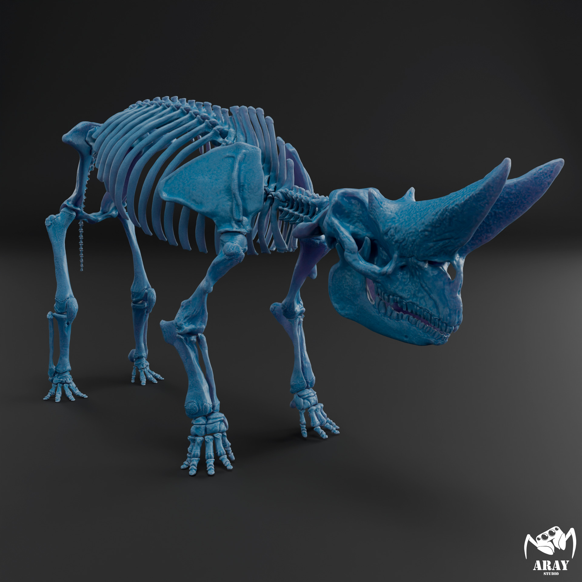Arsinoitherium zitteli - twin horned rhino skeleton 3D print model_7