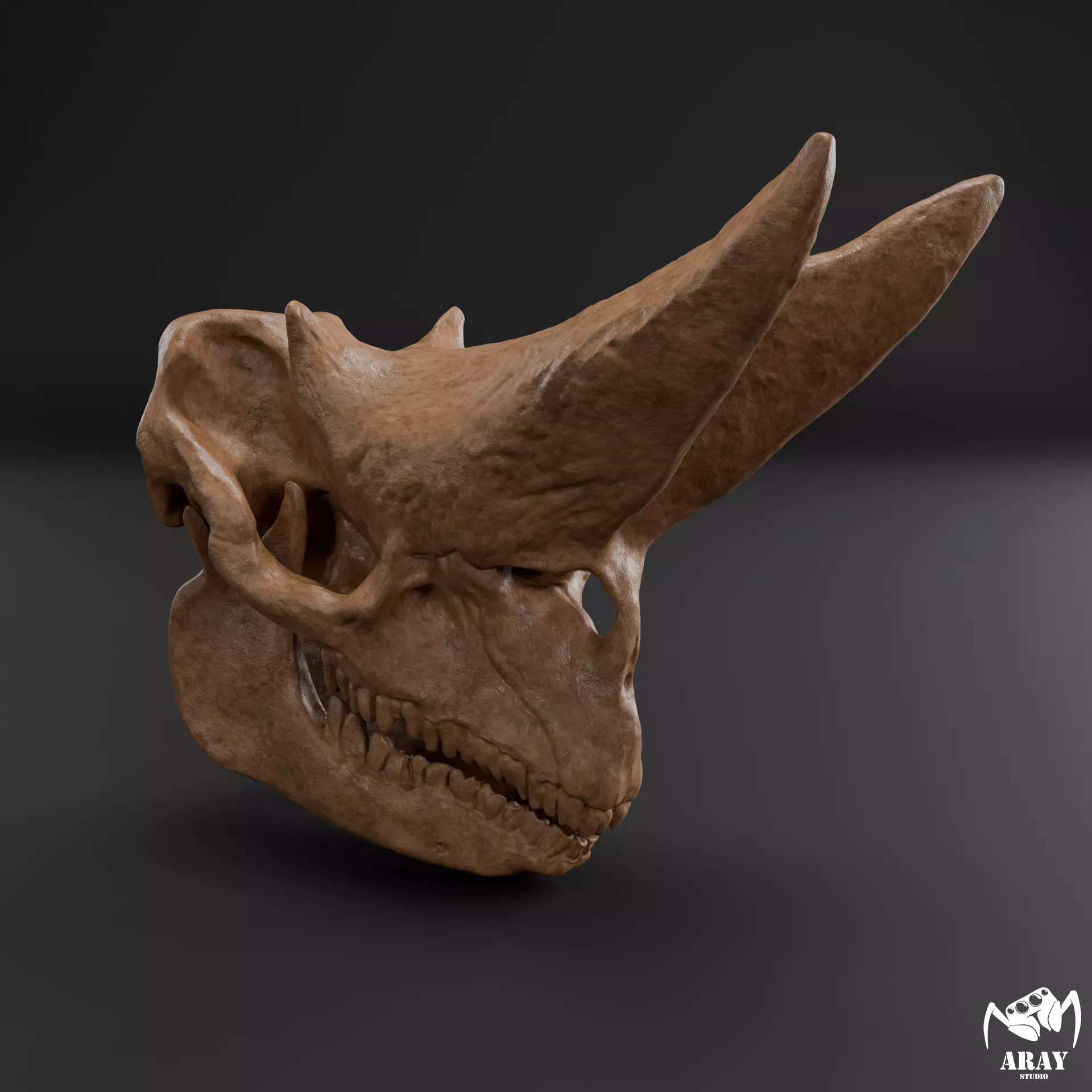 Arsinoitherium zitteli - twin horned rhino skull 3D print model_0