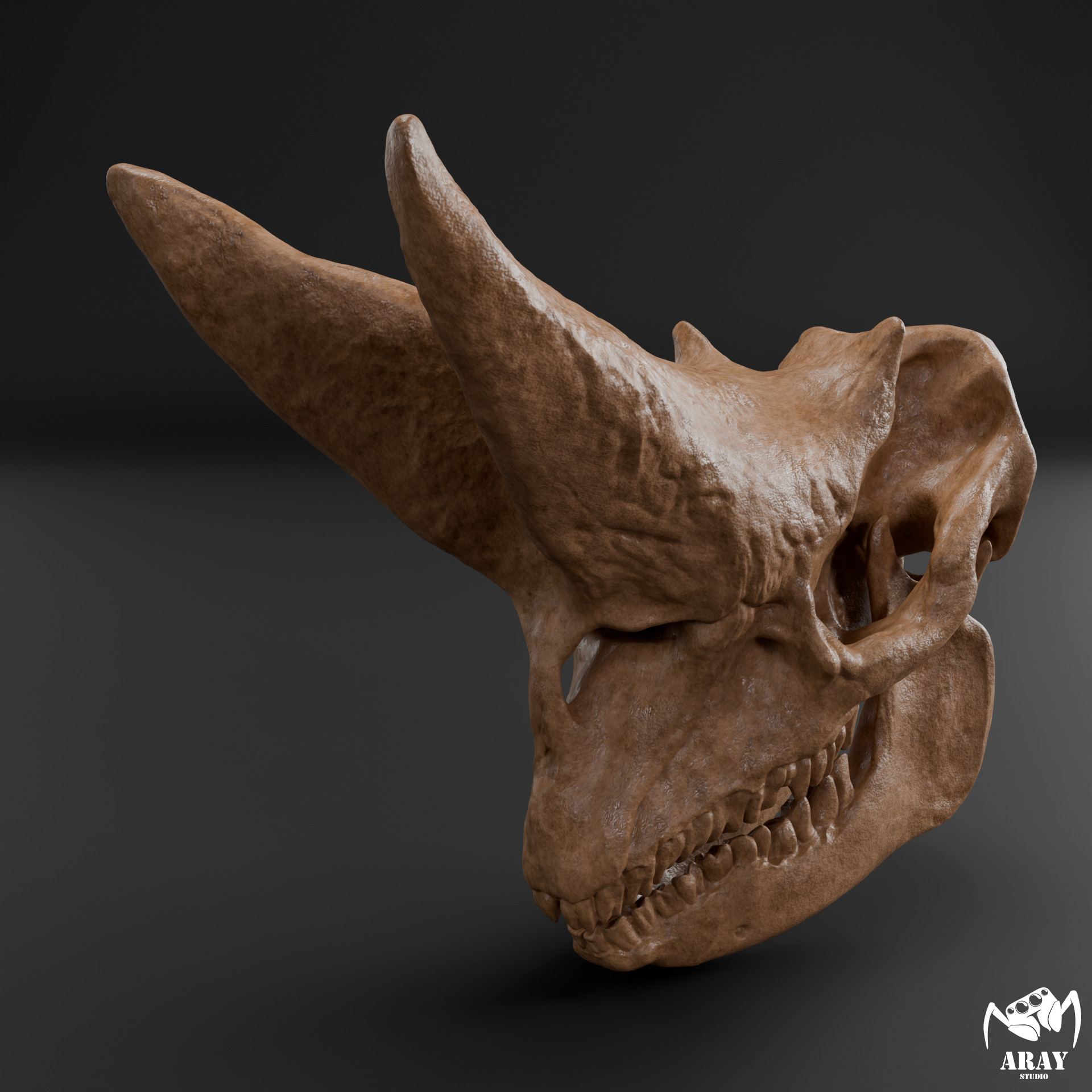 Arsinoitherium zitteli - twin horned rhino skull 3D print model_2