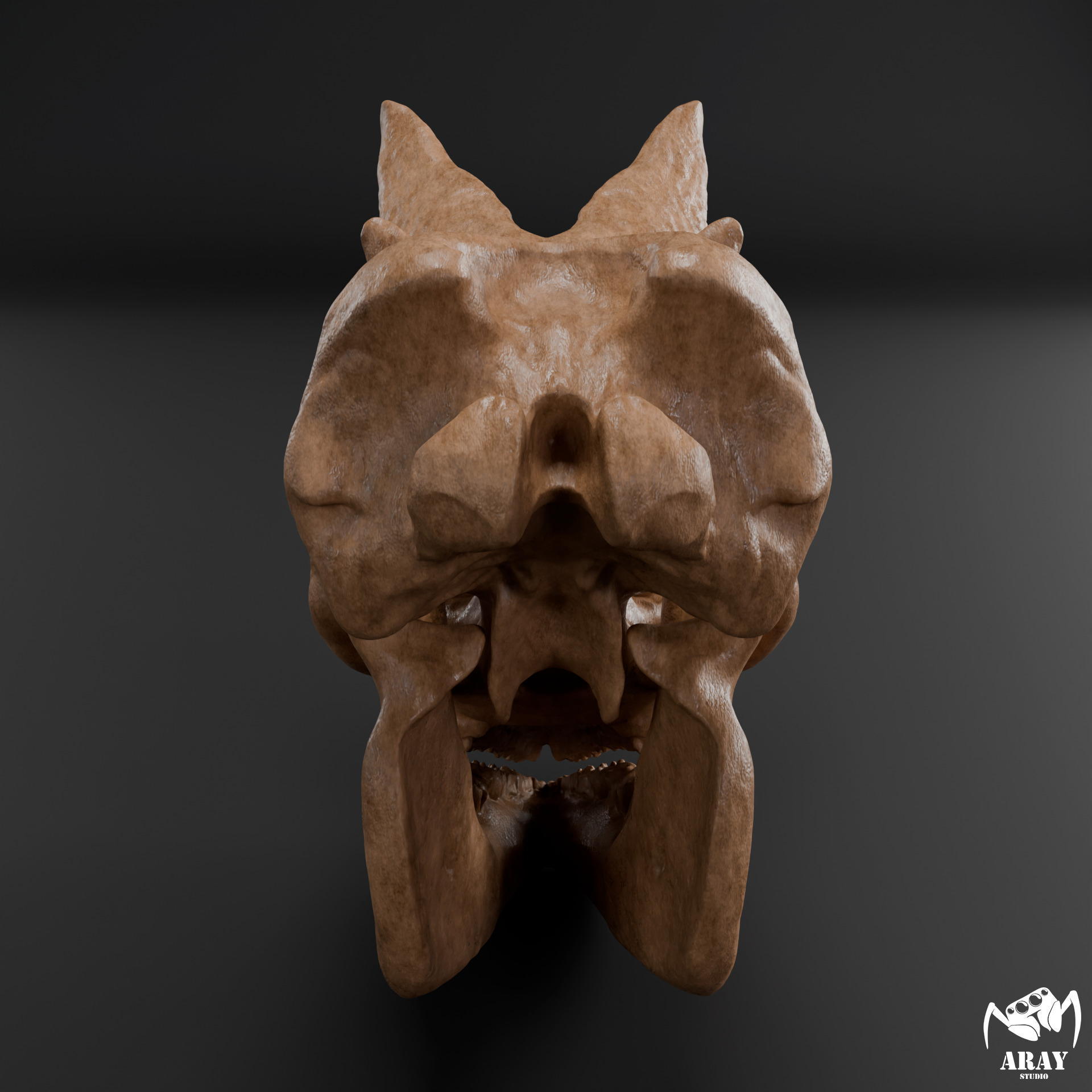 Arsinoitherium zitteli - twin horned rhino skull 3D print model_5