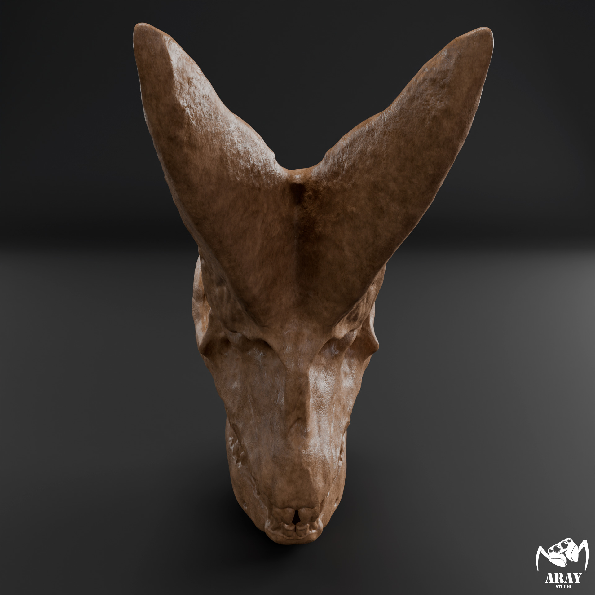 Arsinoitherium zitteli - twin horned rhino skull 3D print model_1