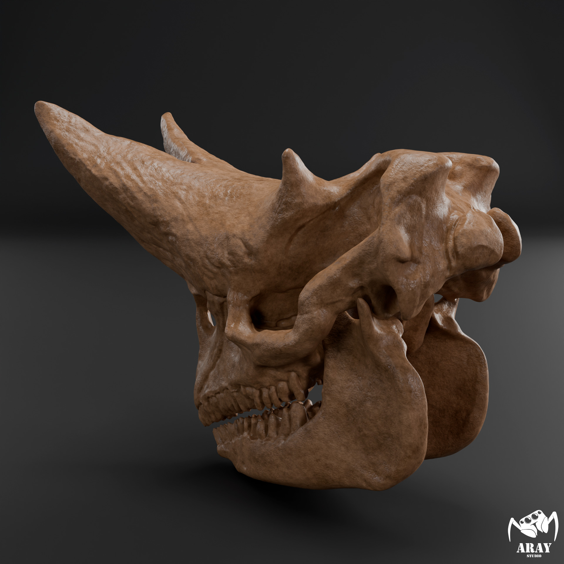 Arsinoitherium zitteli - twin horned rhino skull 3D print model_4