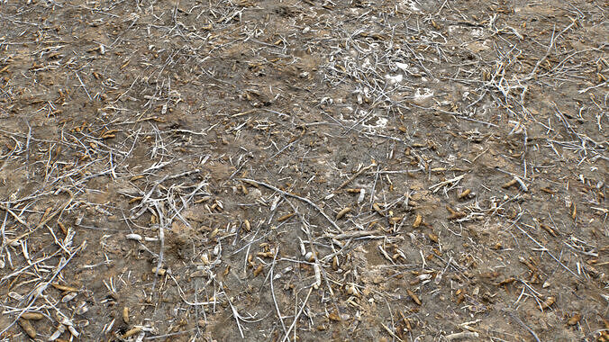 Muddy Terrain and Puddles 5 PBR Texture