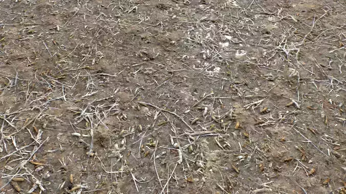 Muddy Terrain and Puddles 5 PBR