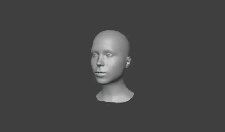rigged human face 3D model_0