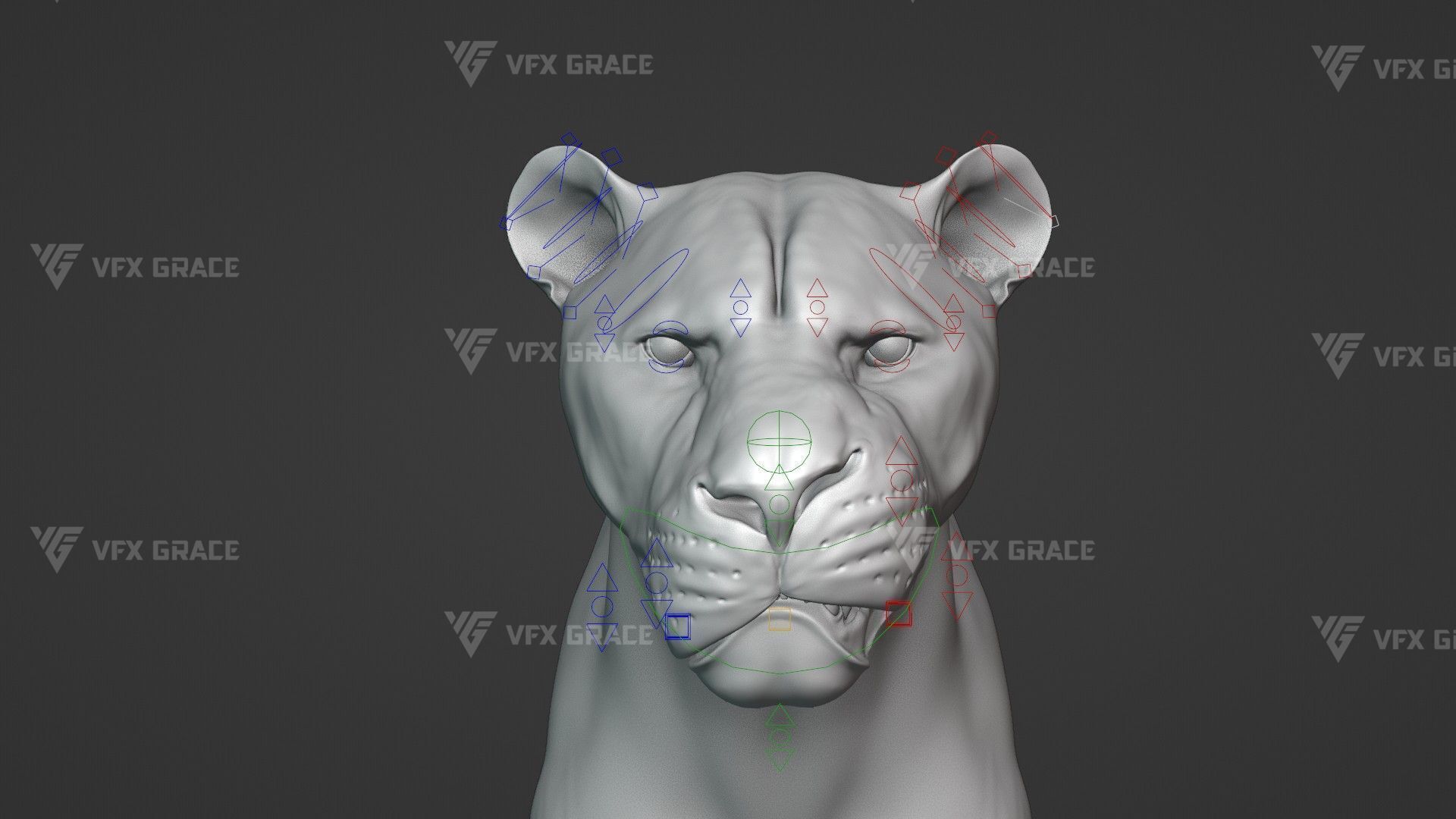 White Lion Animation - Blender 3D model_21