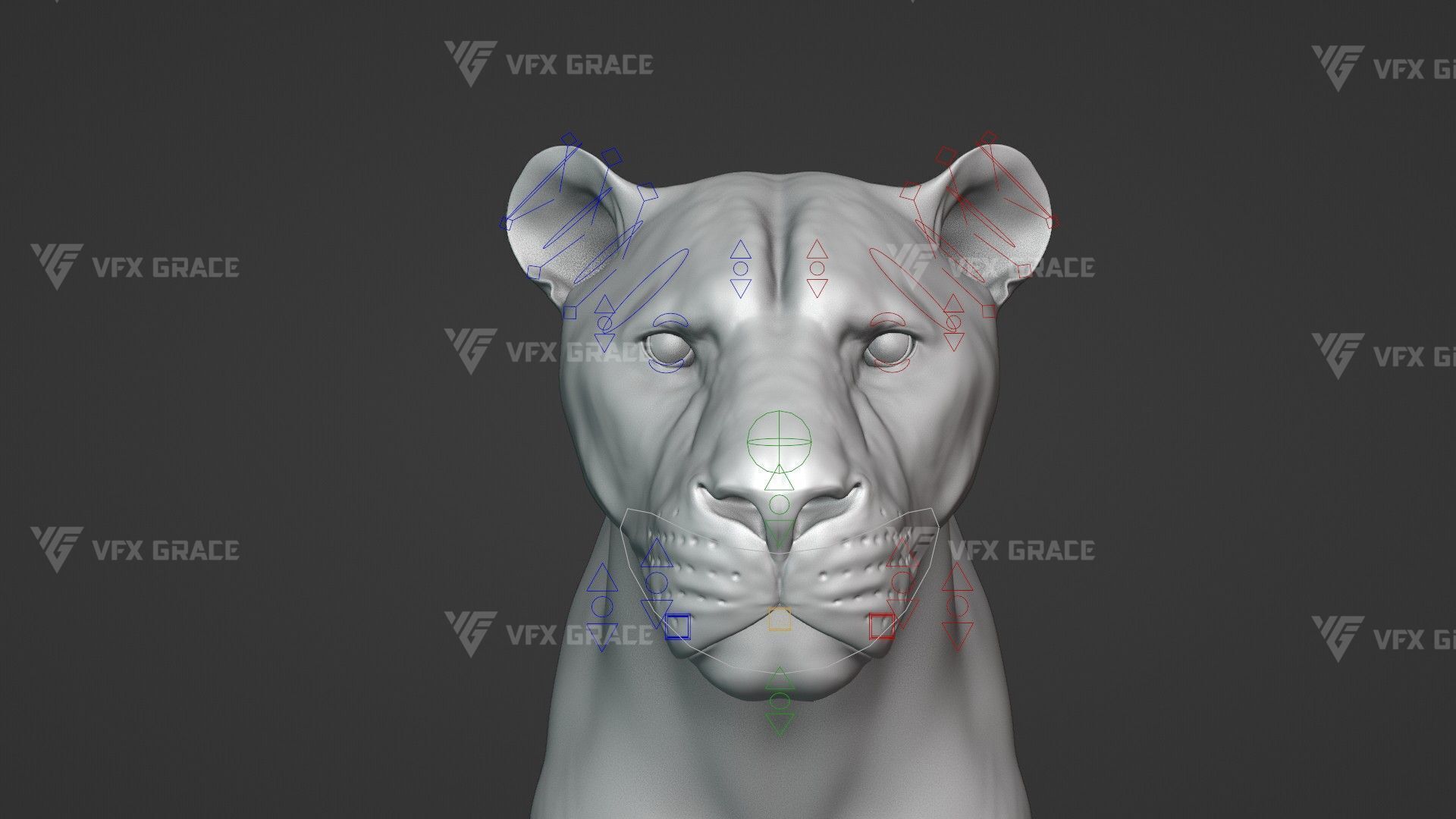 White Lion Animation - Blender 3D model_20