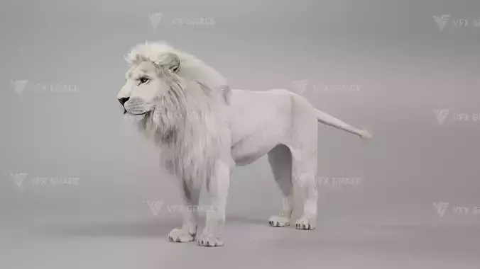 White Lion Animation - Blender 3D model