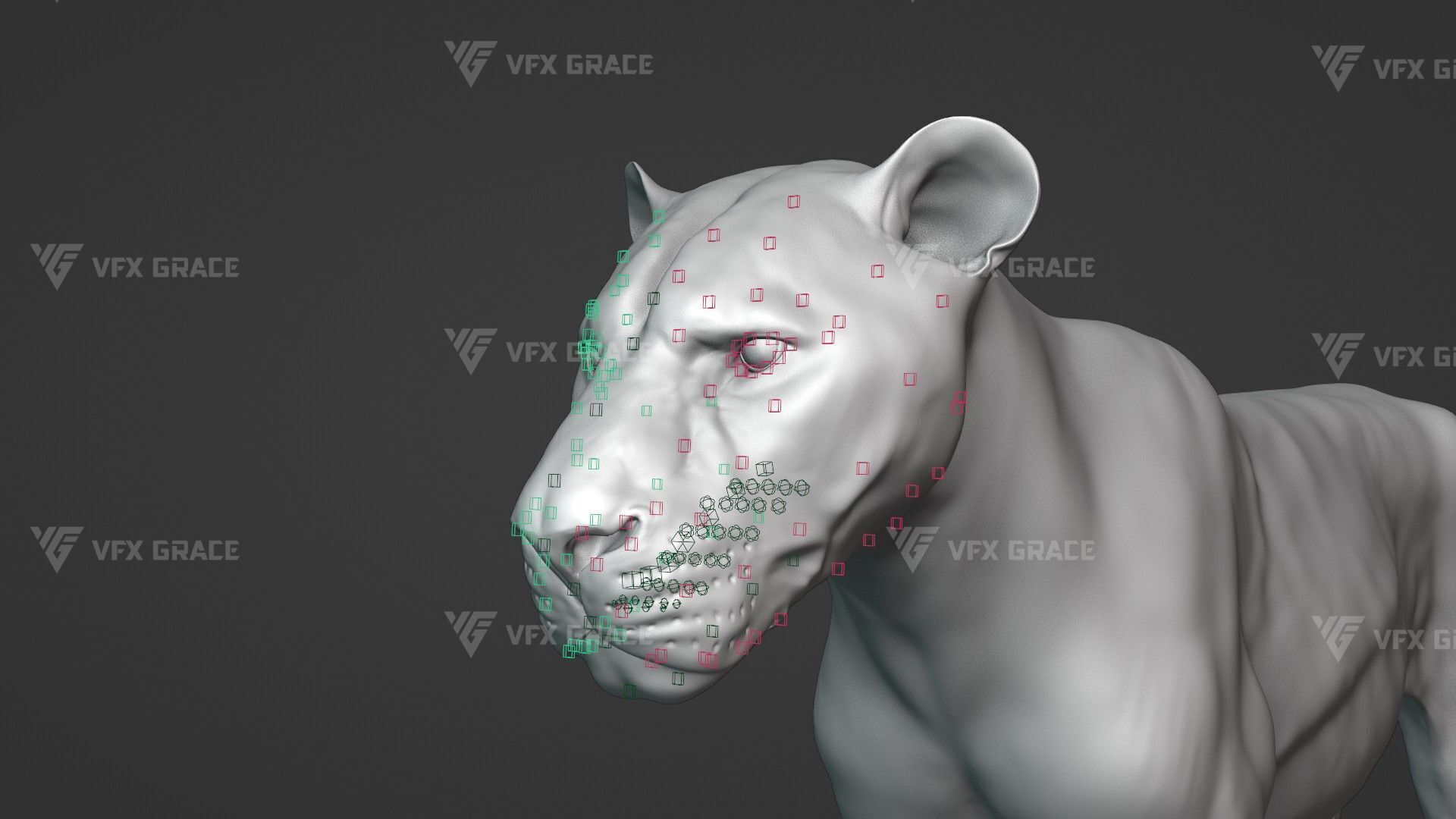 White Lion Animation - Blender 3D model_19