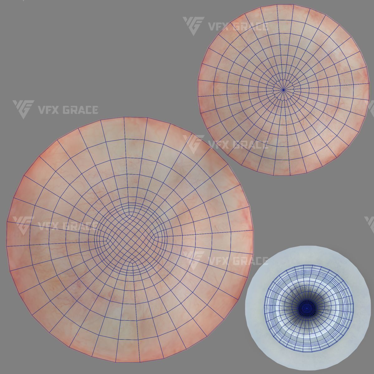 White Lion Animation - Blender 3D model_24