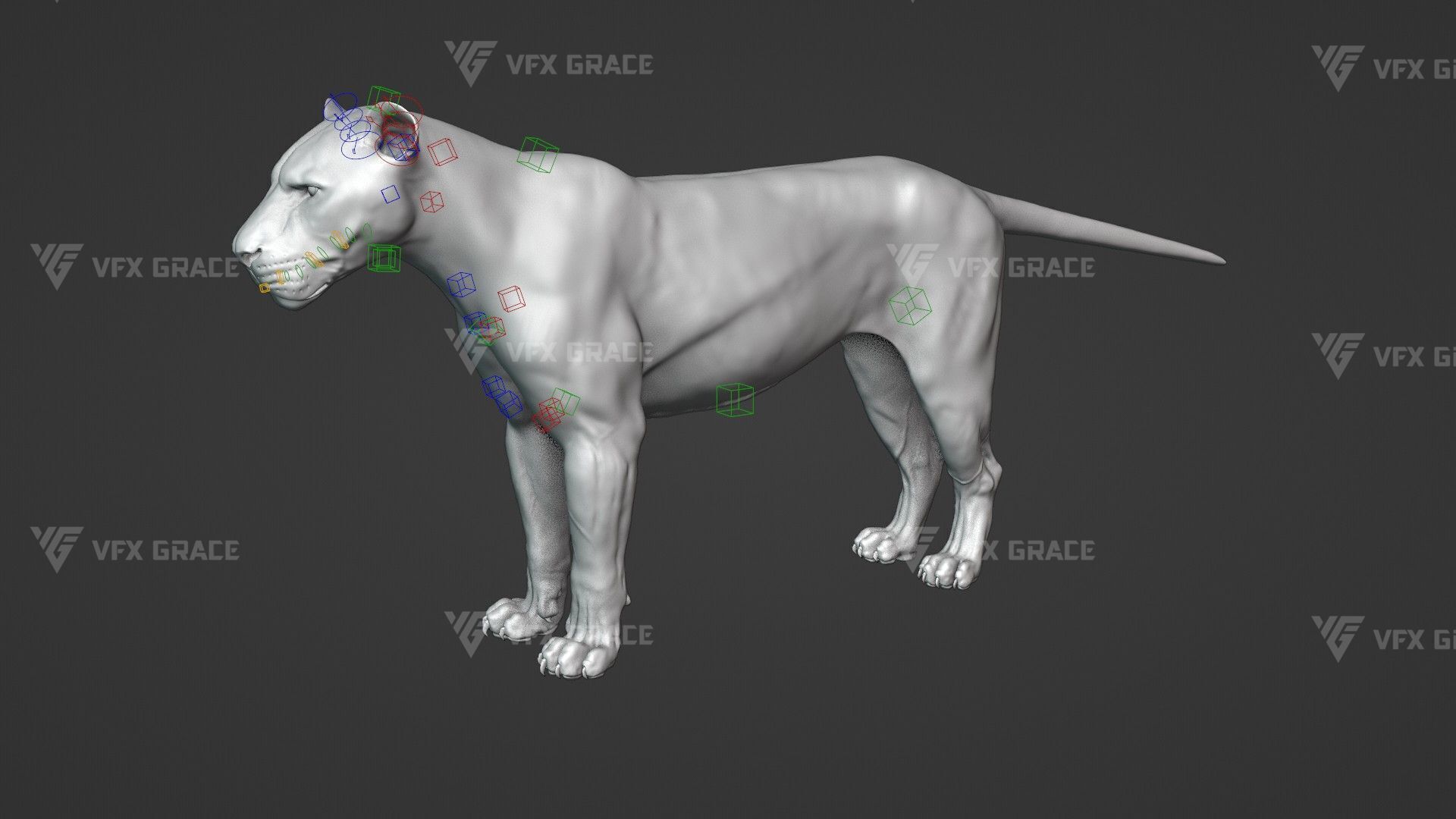 White Lion Animation - Blender 3D model_17