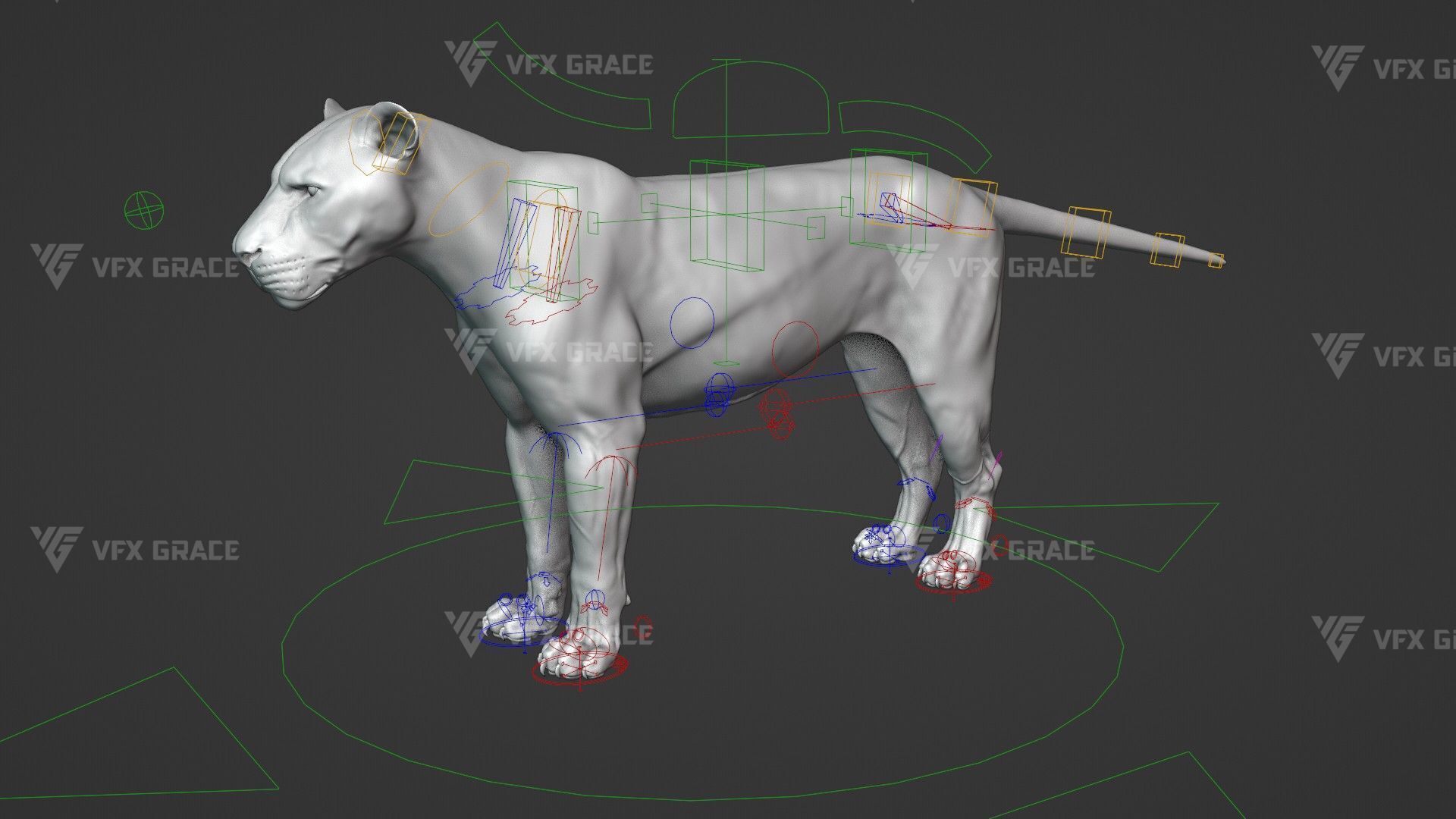 White Lion Animation - Blender 3D model_15