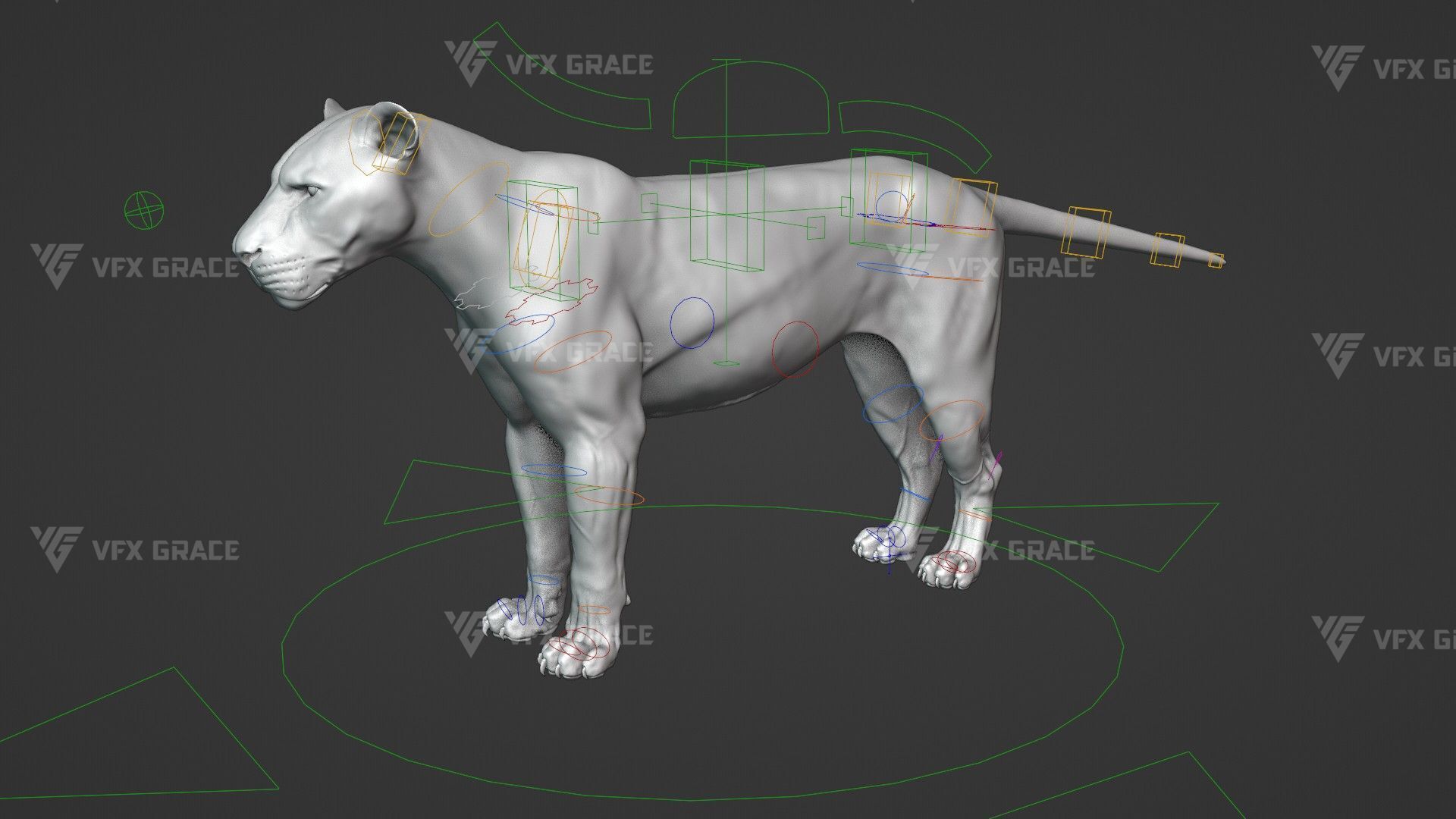 White Lion Animation - Blender 3D model_16