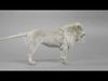 White Lion Animation - Blender 3D model_1