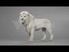 White Lion Animation - Blender 3D model_3
