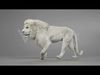 White Lion Animation - Blender 3D model_5