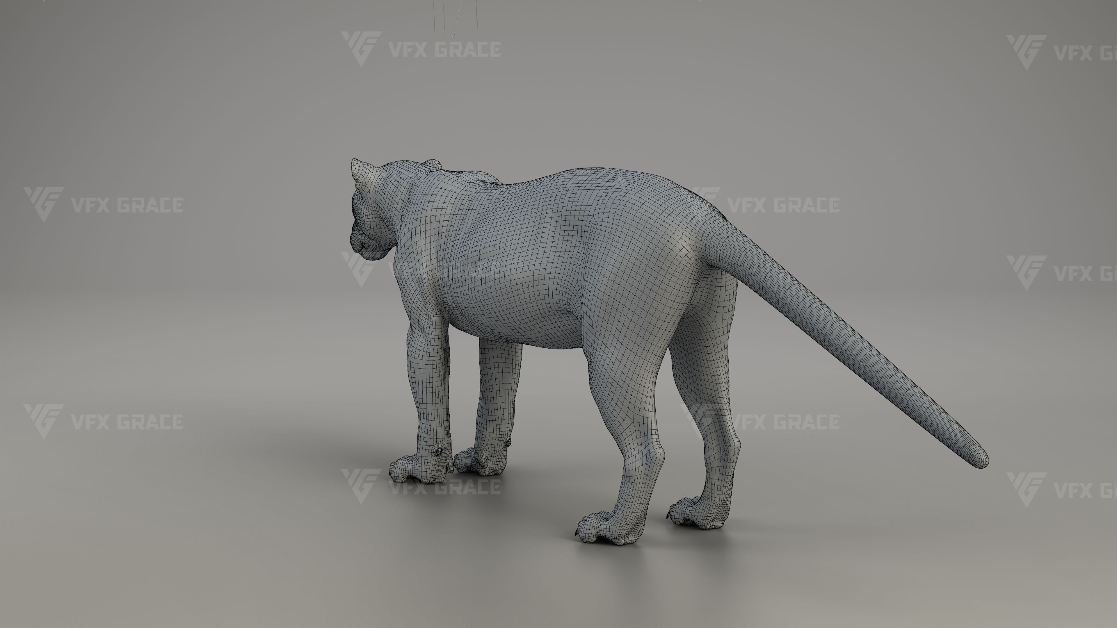 Black Jaguar 3D Blender 3D model_14