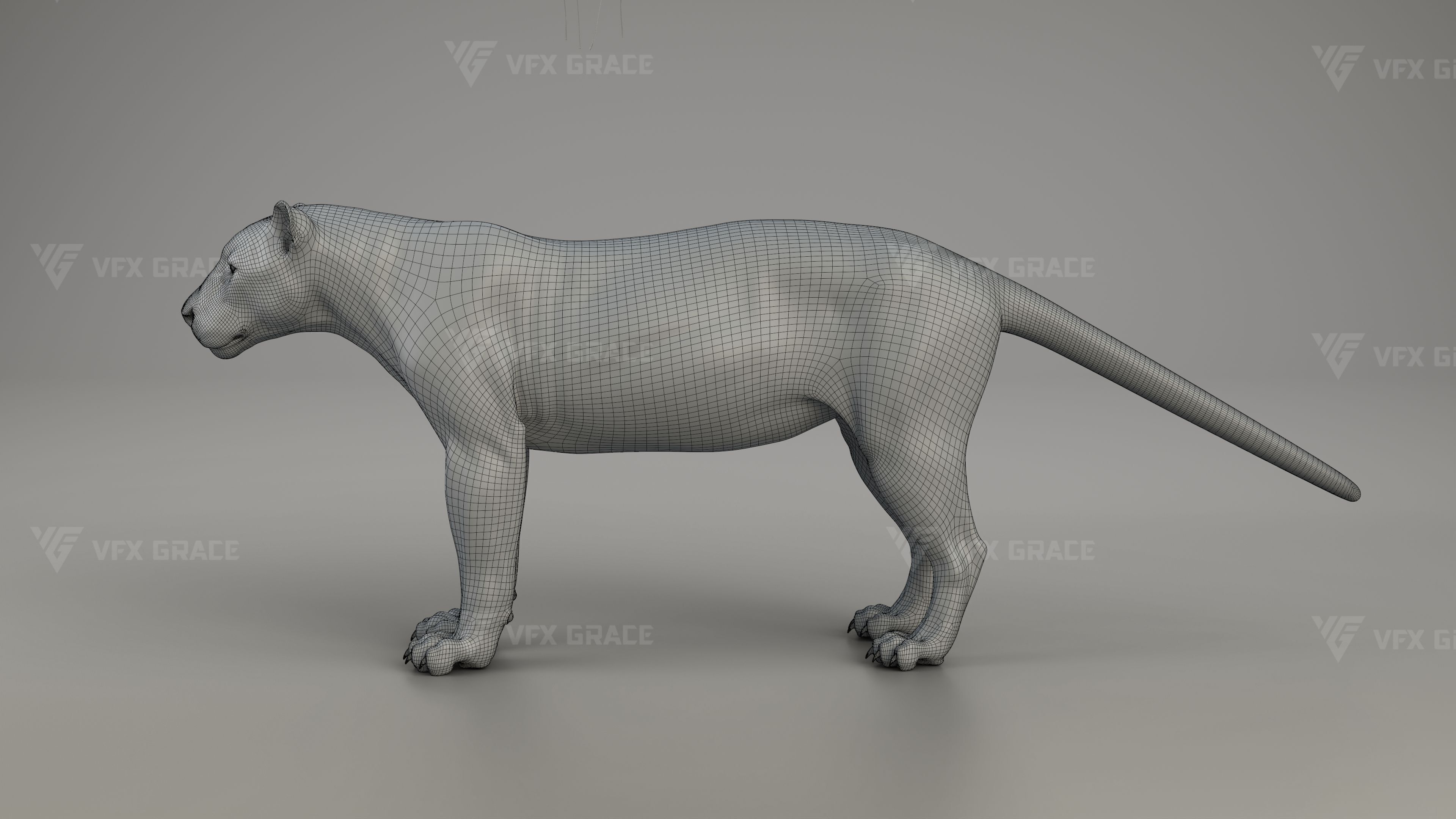 Black Jaguar 3D Blender 3D model_13