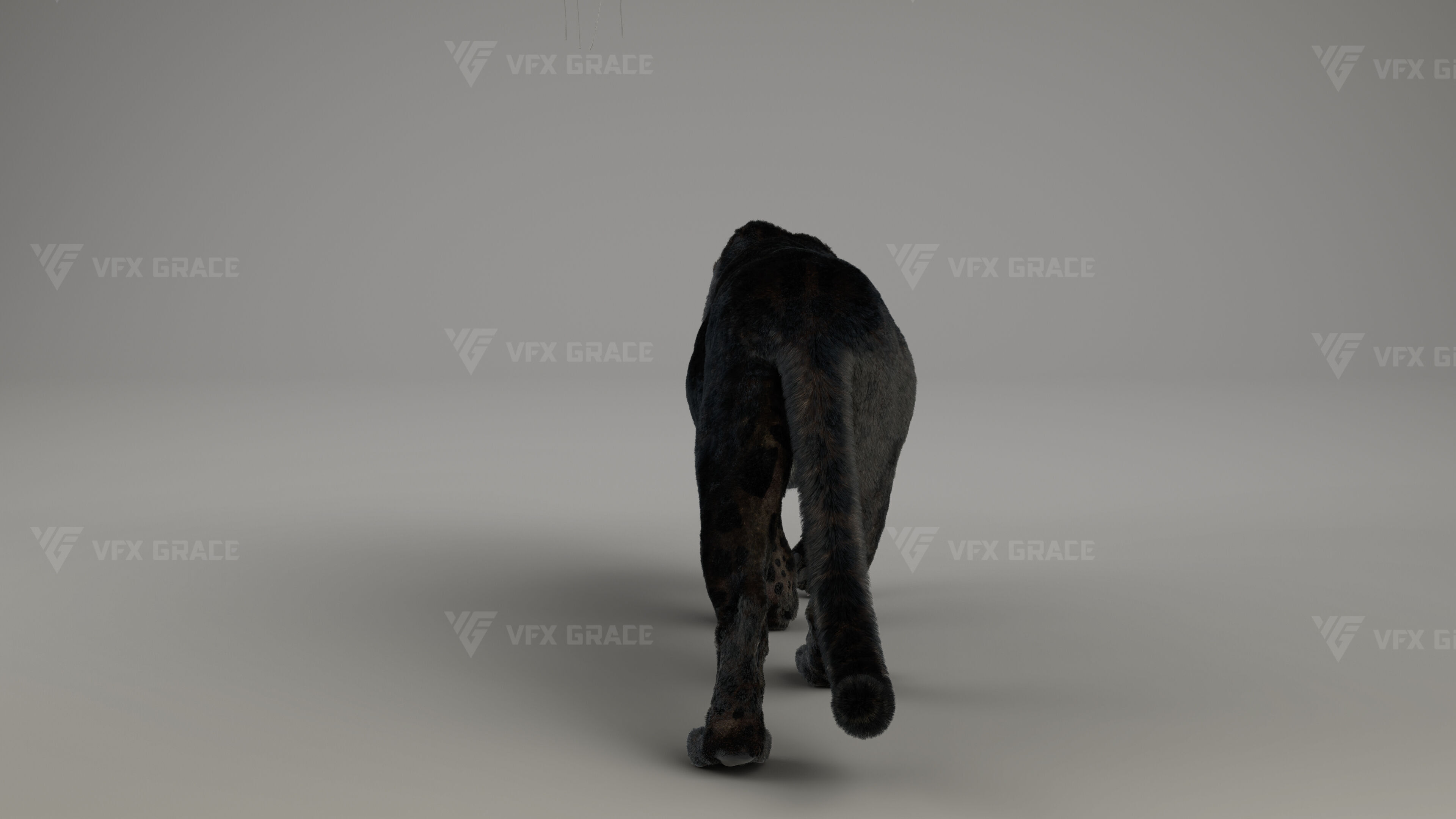 Black Jaguar 3D Blender 3D model_8