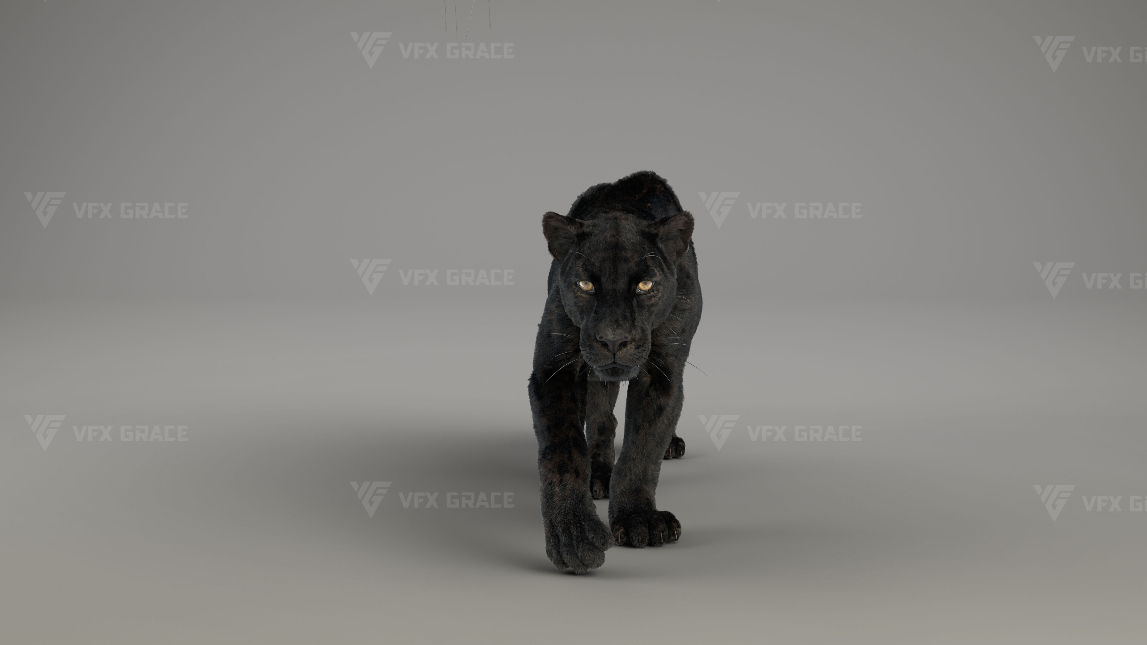 Black Jaguar 3D Blender 3D model_4