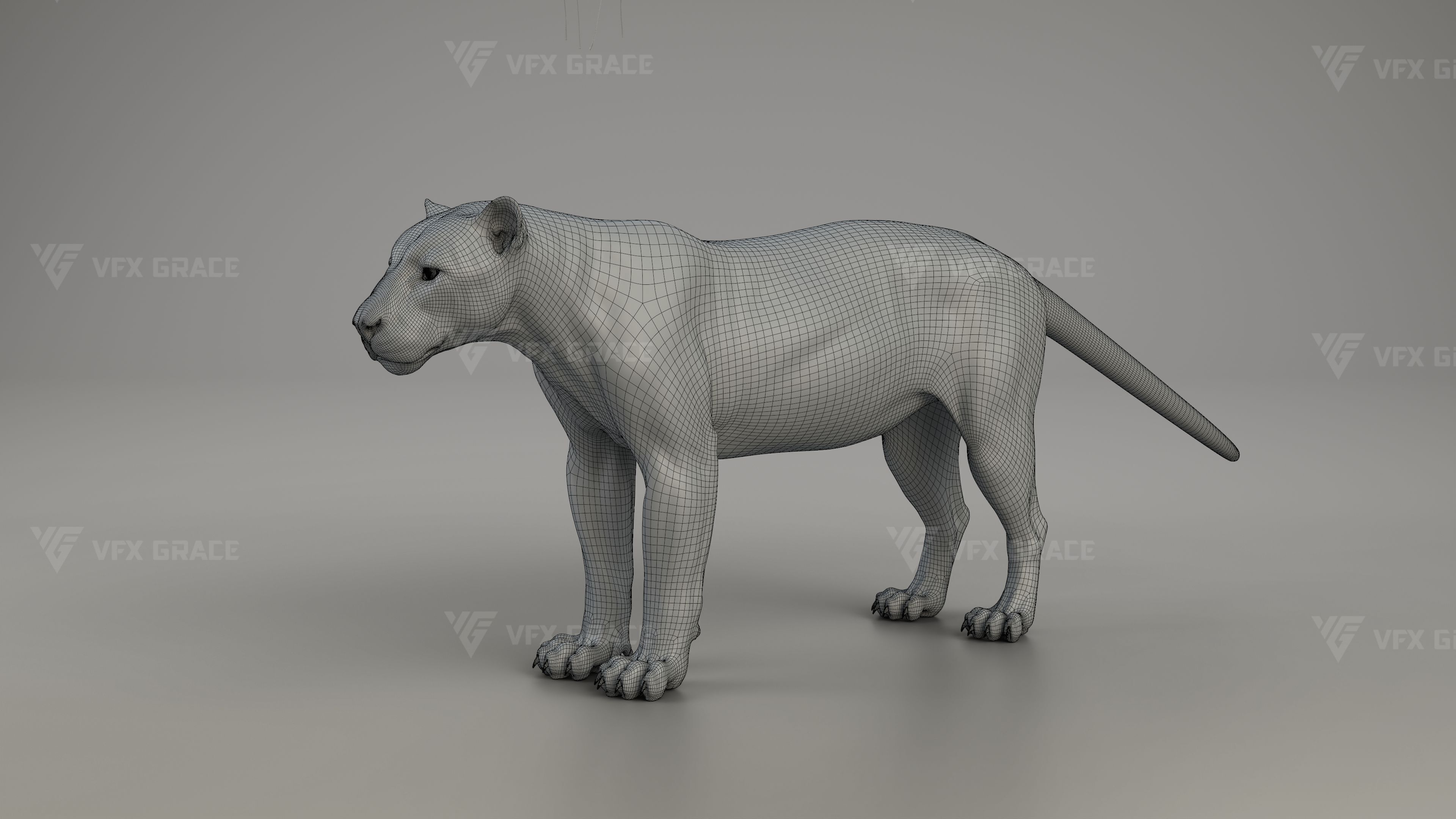 Black Jaguar 3D Blender 3D model_12