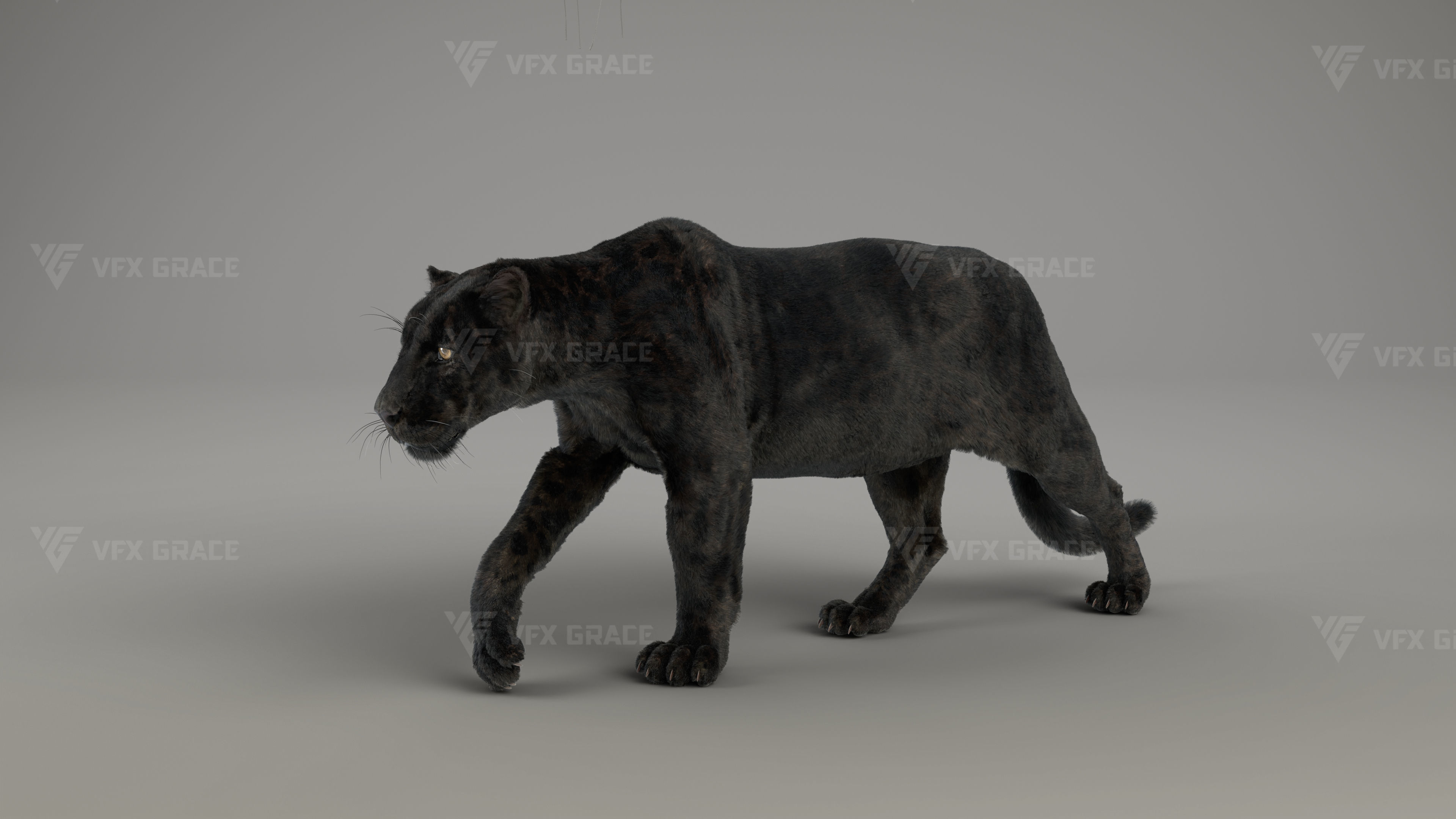 Black Jaguar 3D Blender 3D model_0