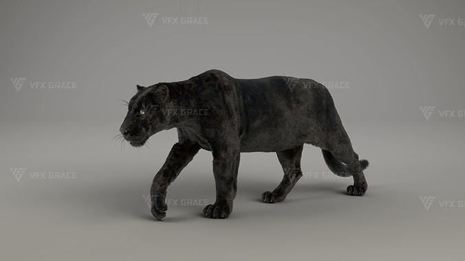 Black Jaguar 3D Blender 3D model