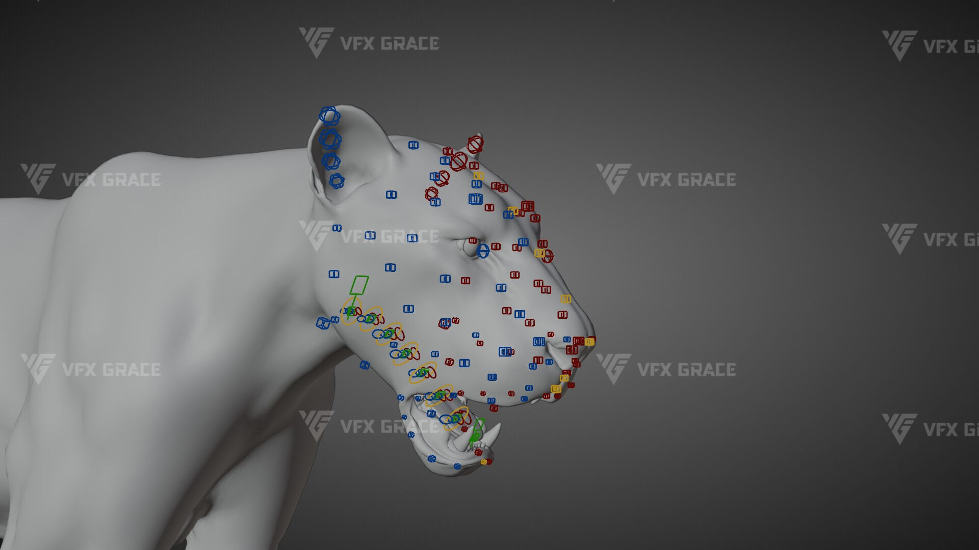 Bengal Tiger Animation - Blender 3D Model 3D model_18