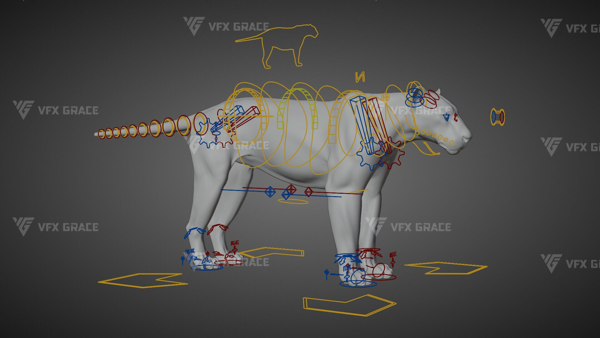 Bengal Tiger Animation - Blender 3D Model 3D model_14